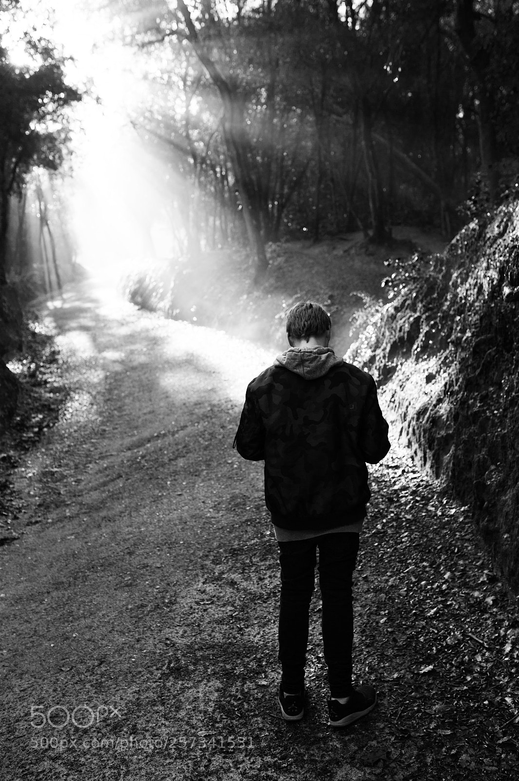 Nikon D700 sample photo. Walking towards the nature photography