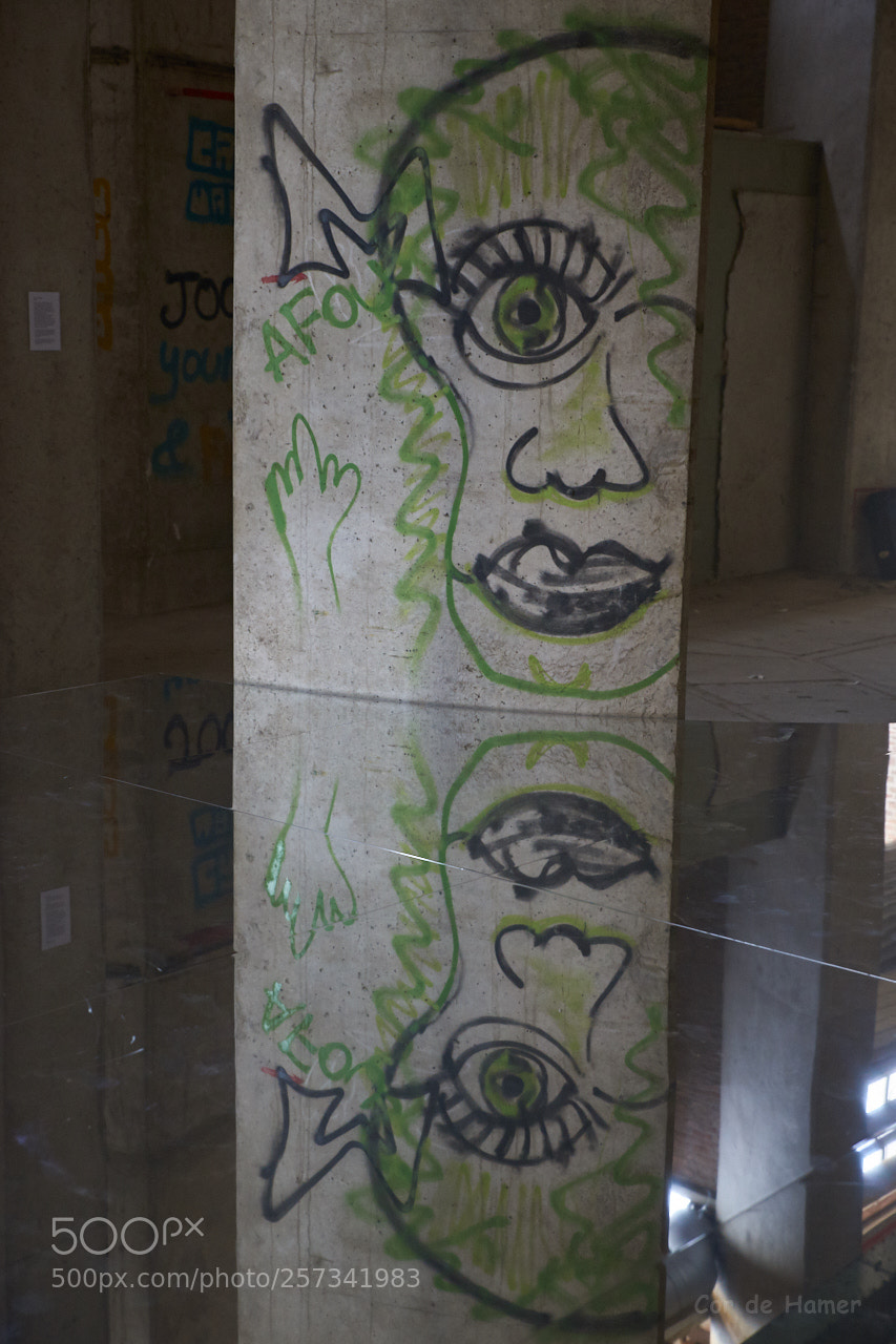 Sony SLT-A99V sample photo. Reflection of wall painting photography