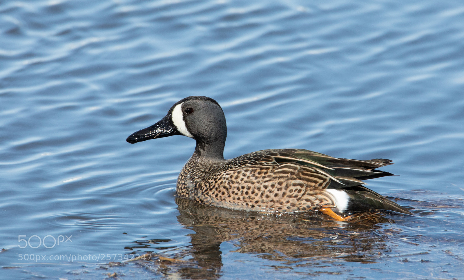 Canon EOS 5D Mark IV sample photo. Untitled photography