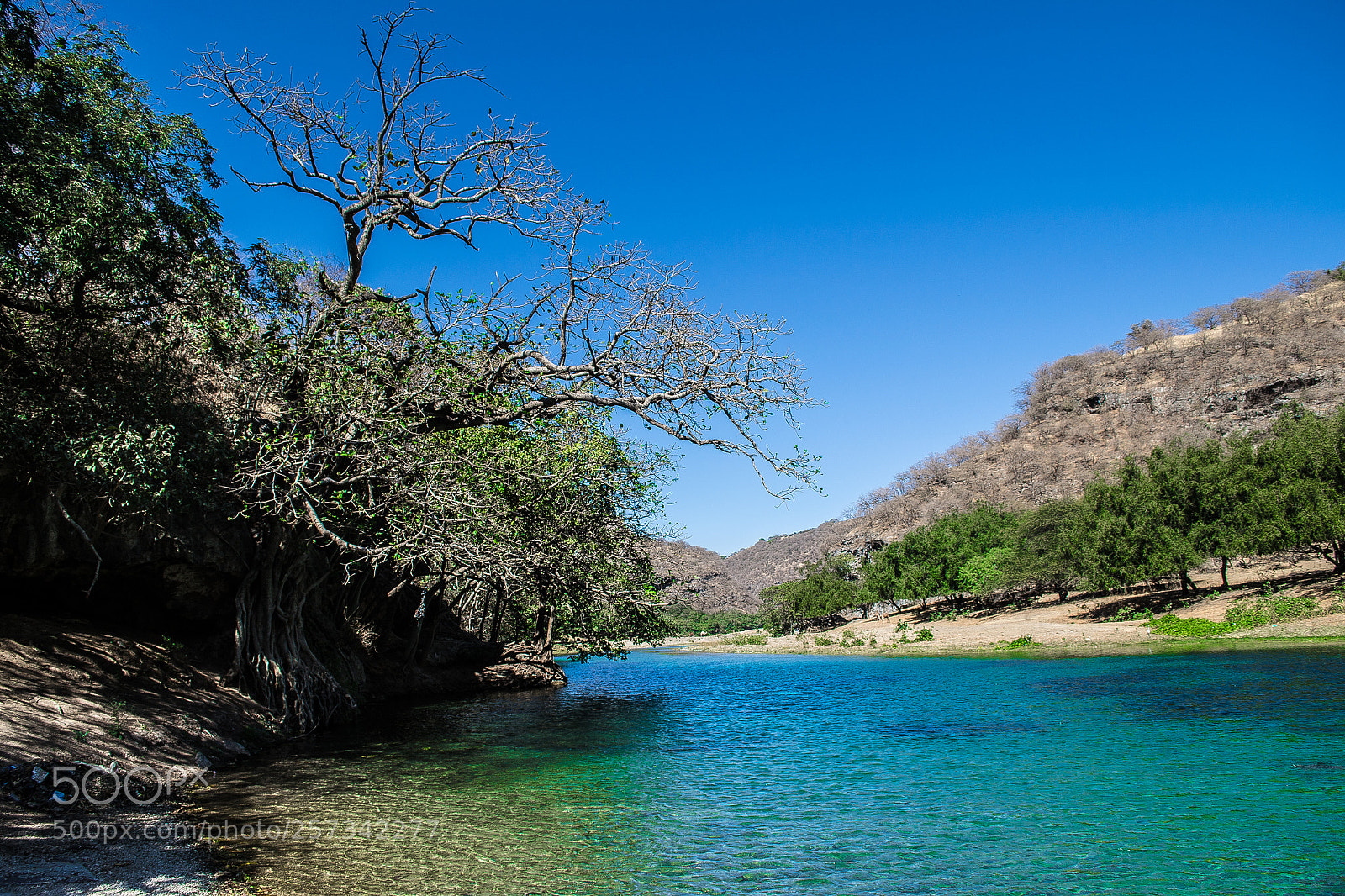 Nikon D3100 sample photo. Lake photography