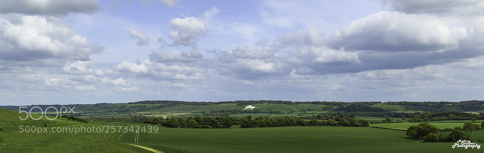 Canon EOS 7D Mark II sample photo. Chiltern hills photography