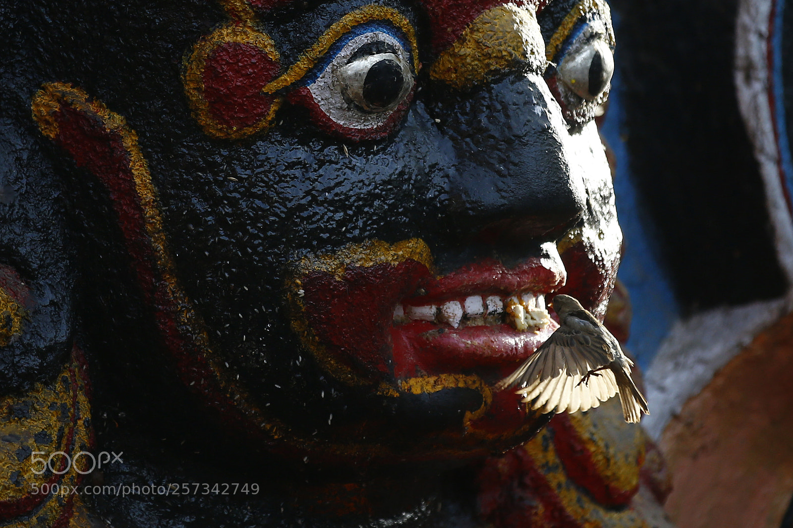 Canon EOS-1D X sample photo. Daily life in nepal photography