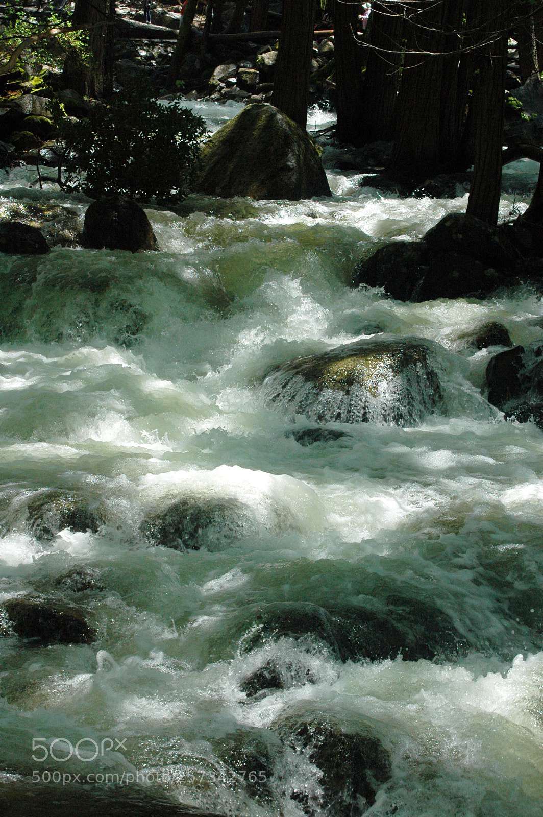 Nikon D70 sample photo. Bridalveil creek photography