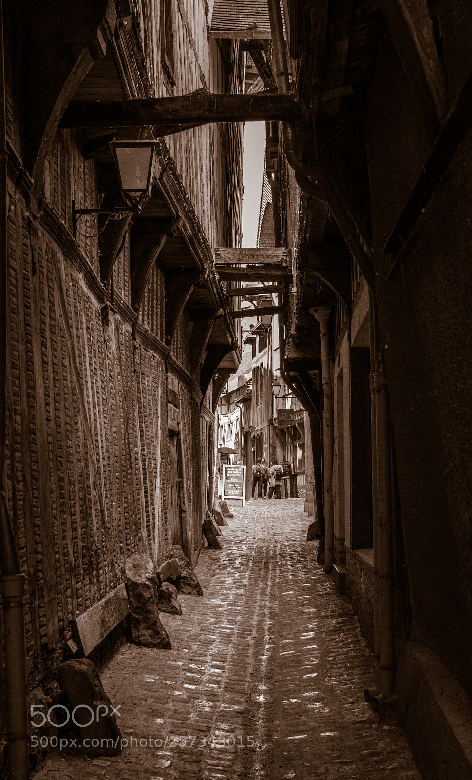 Nikon D3400 sample photo. Cat's alley photography