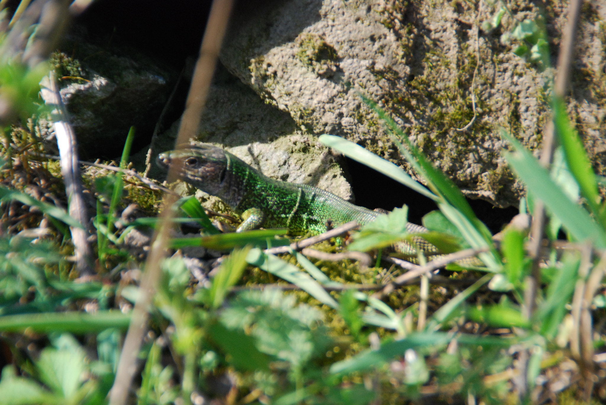 Nikon D80 sample photo. Hi there! photography