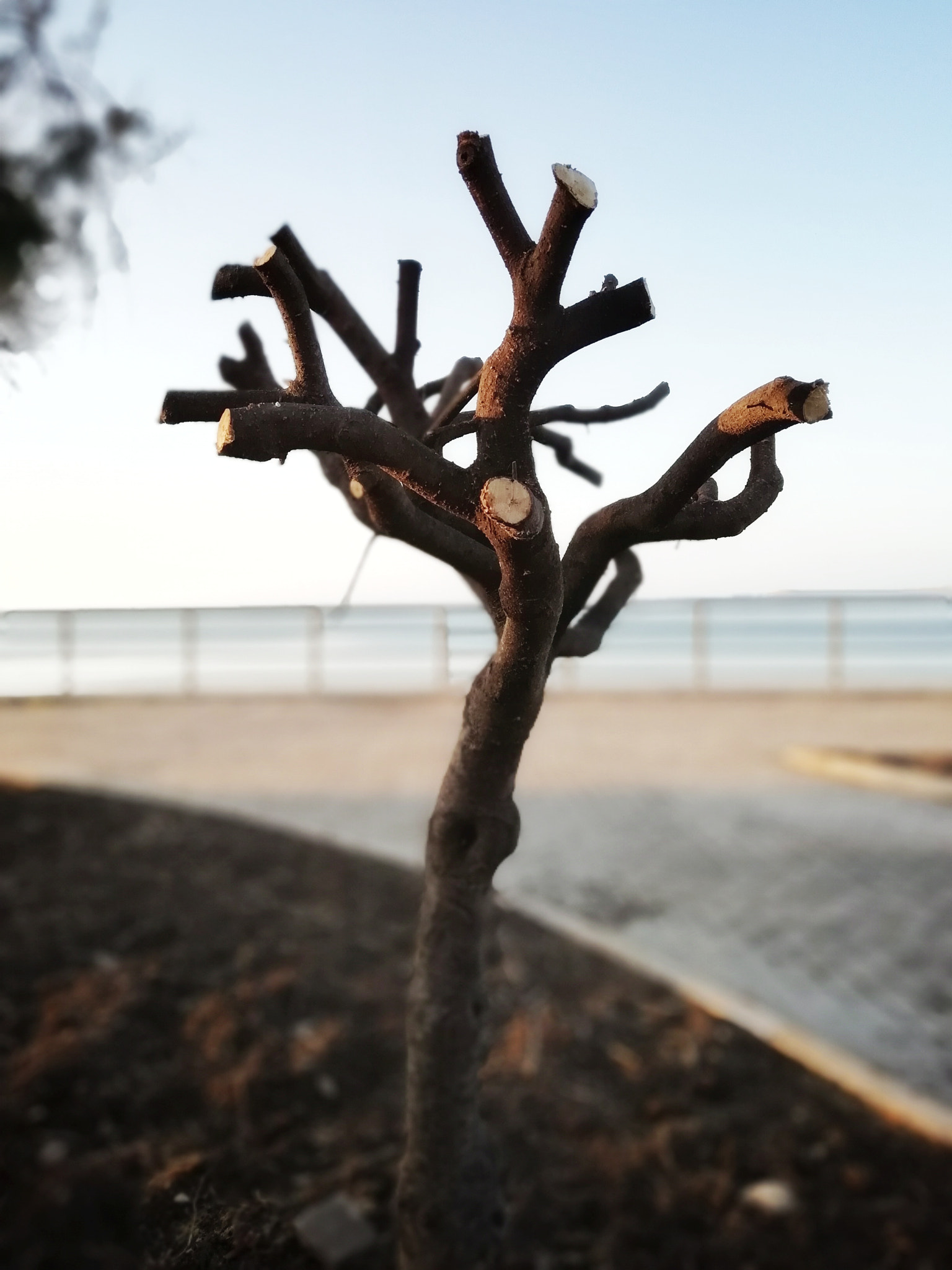 HUAWEI FIG-LX1 sample photo. Only photography