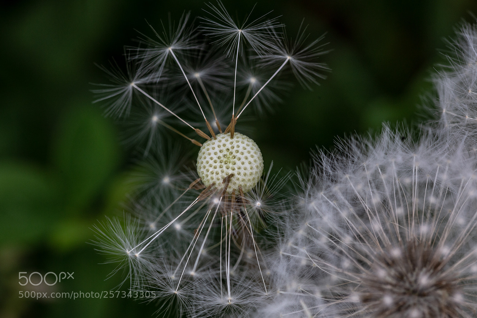 Canon EOS 6D sample photo. Close to the edge photography