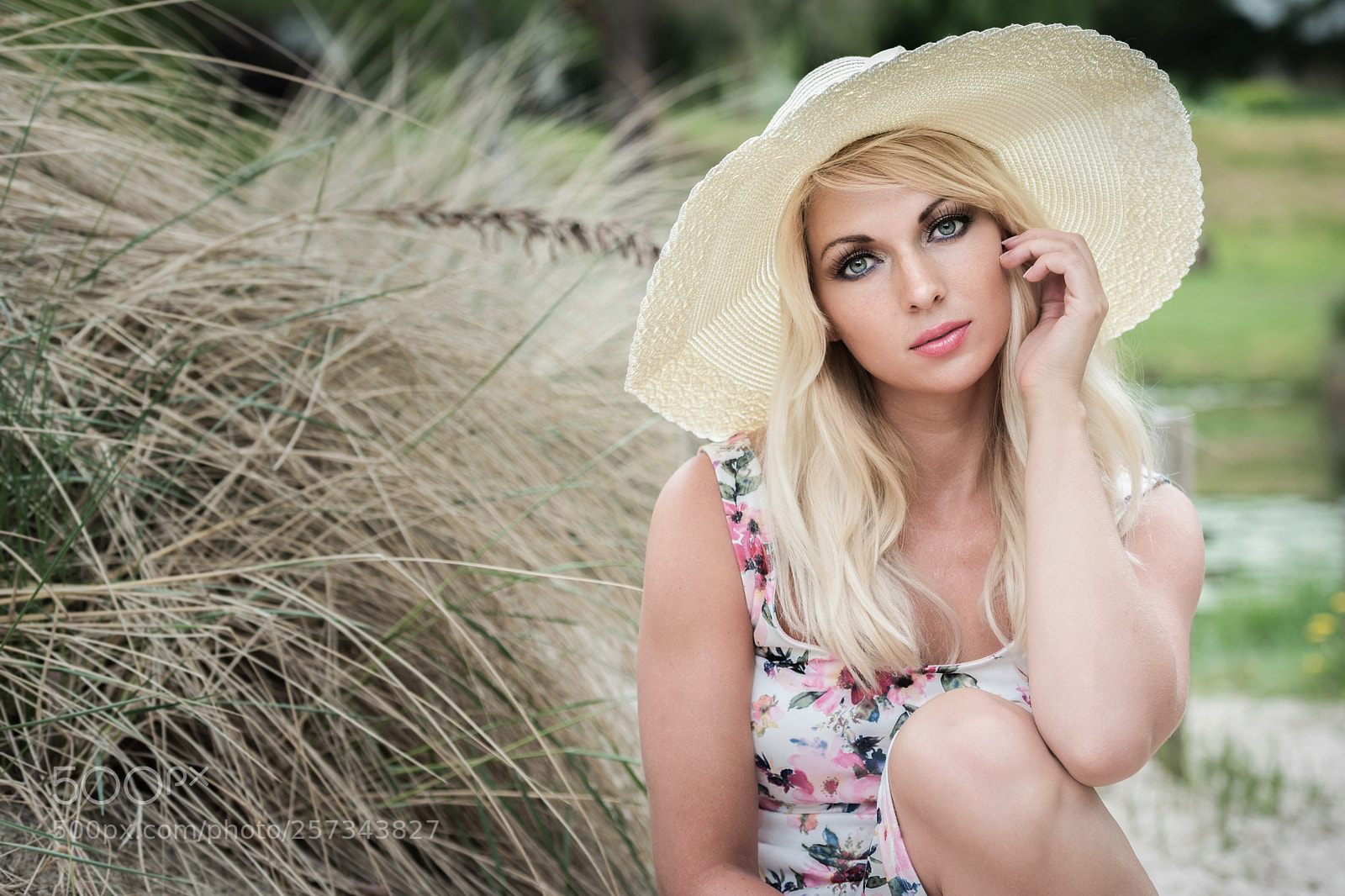 Nikon D750 sample photo. Summertime photography