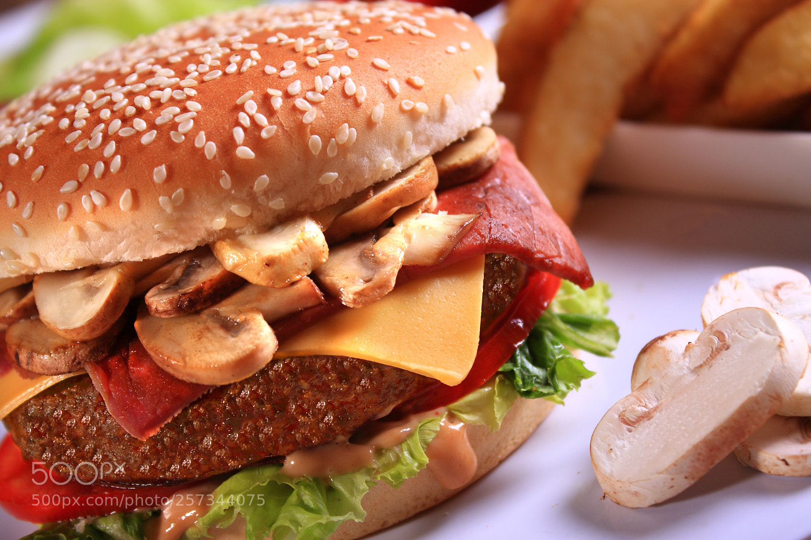 Canon EOS 40D sample photo. Sandwich burgers with cheese photography