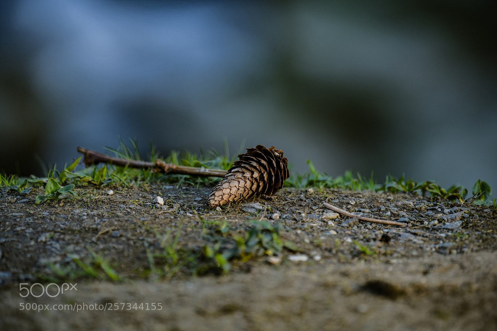 Nikon D850 sample photo. Untitled photography