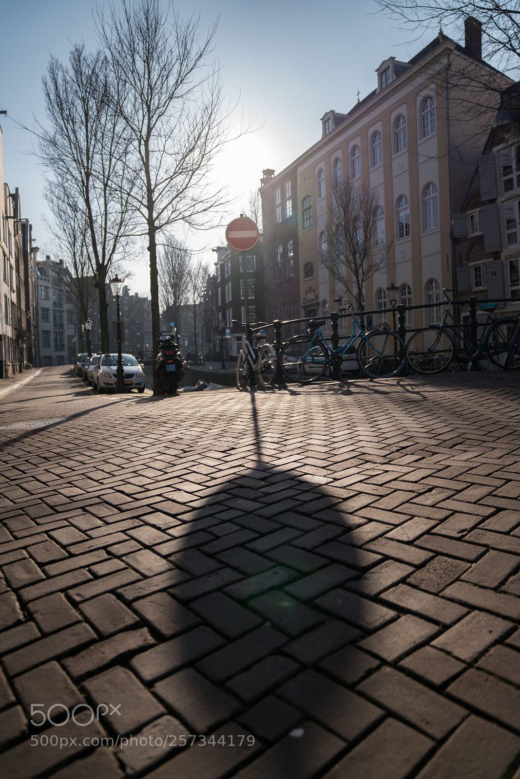 Sony a7R III sample photo. Shadow photography