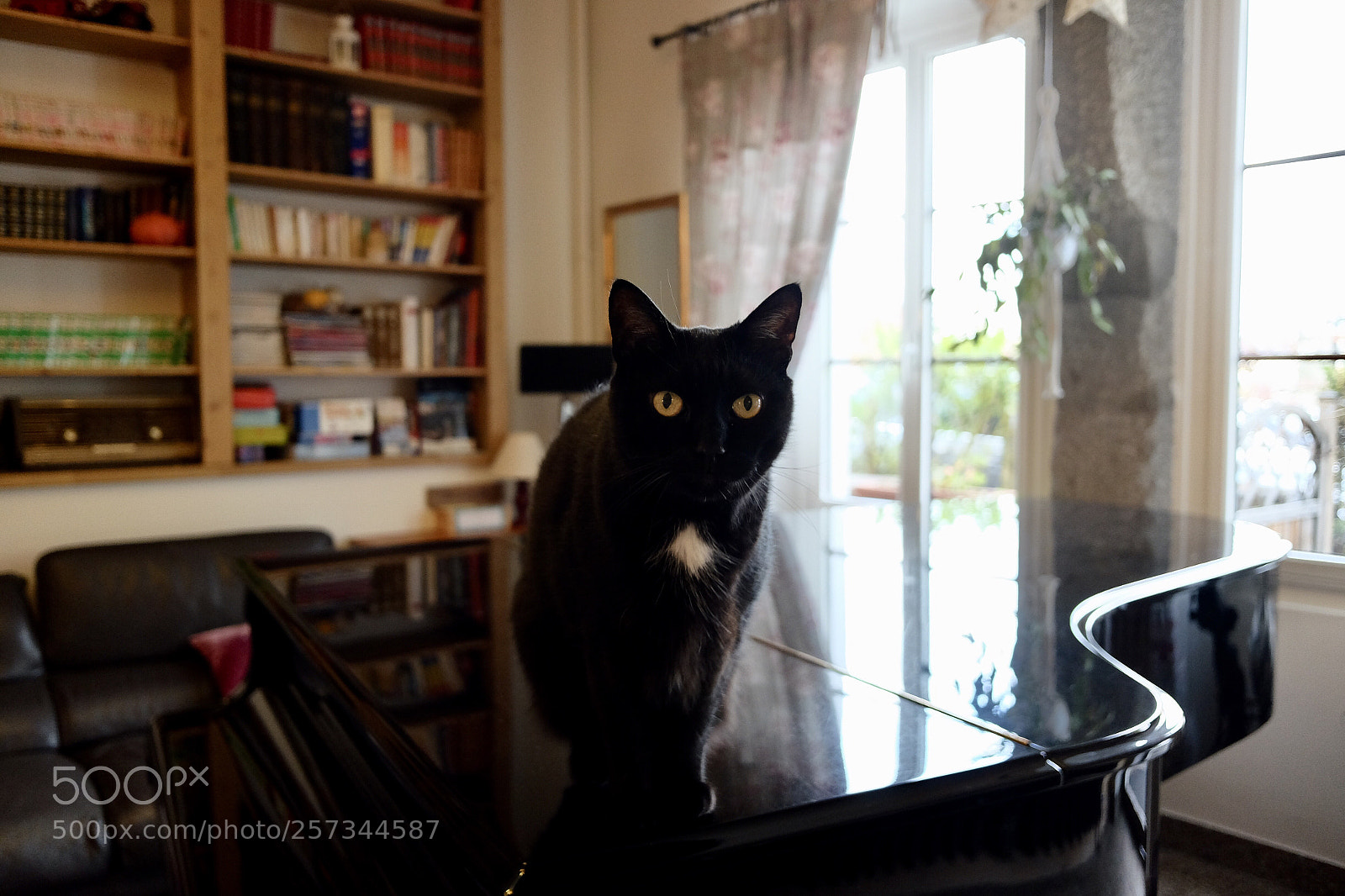 Fujifilm X70 sample photo. Untitled photography
