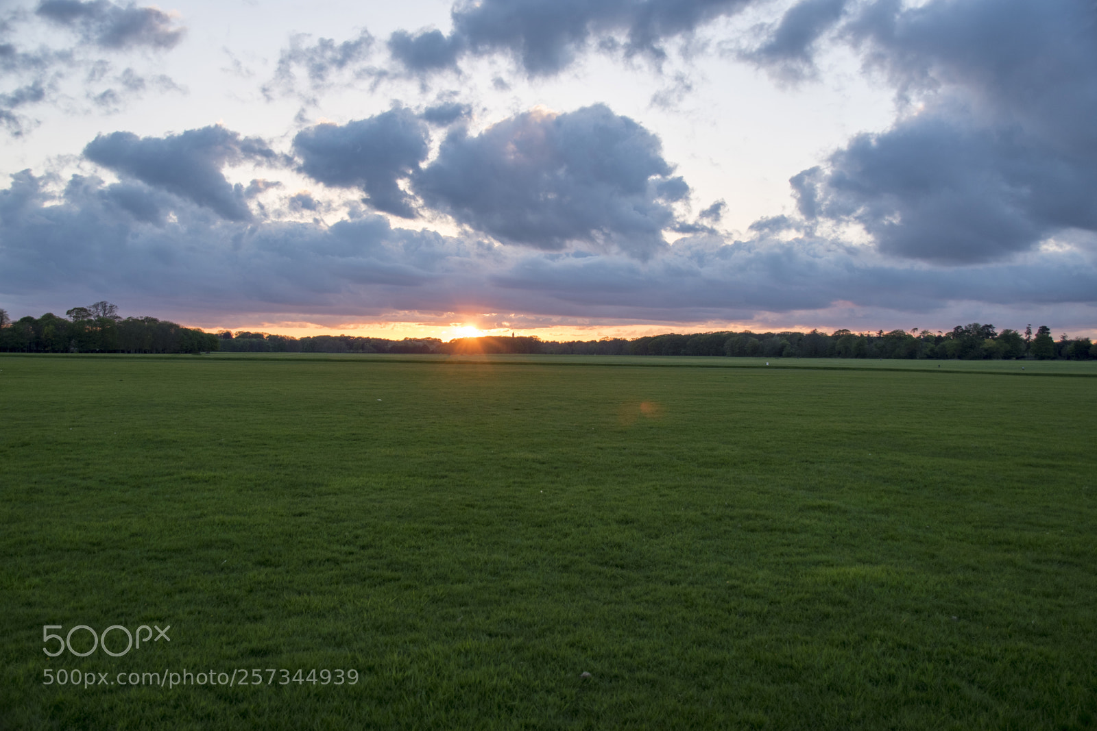 Nikon D5500 sample photo. End of the day photography