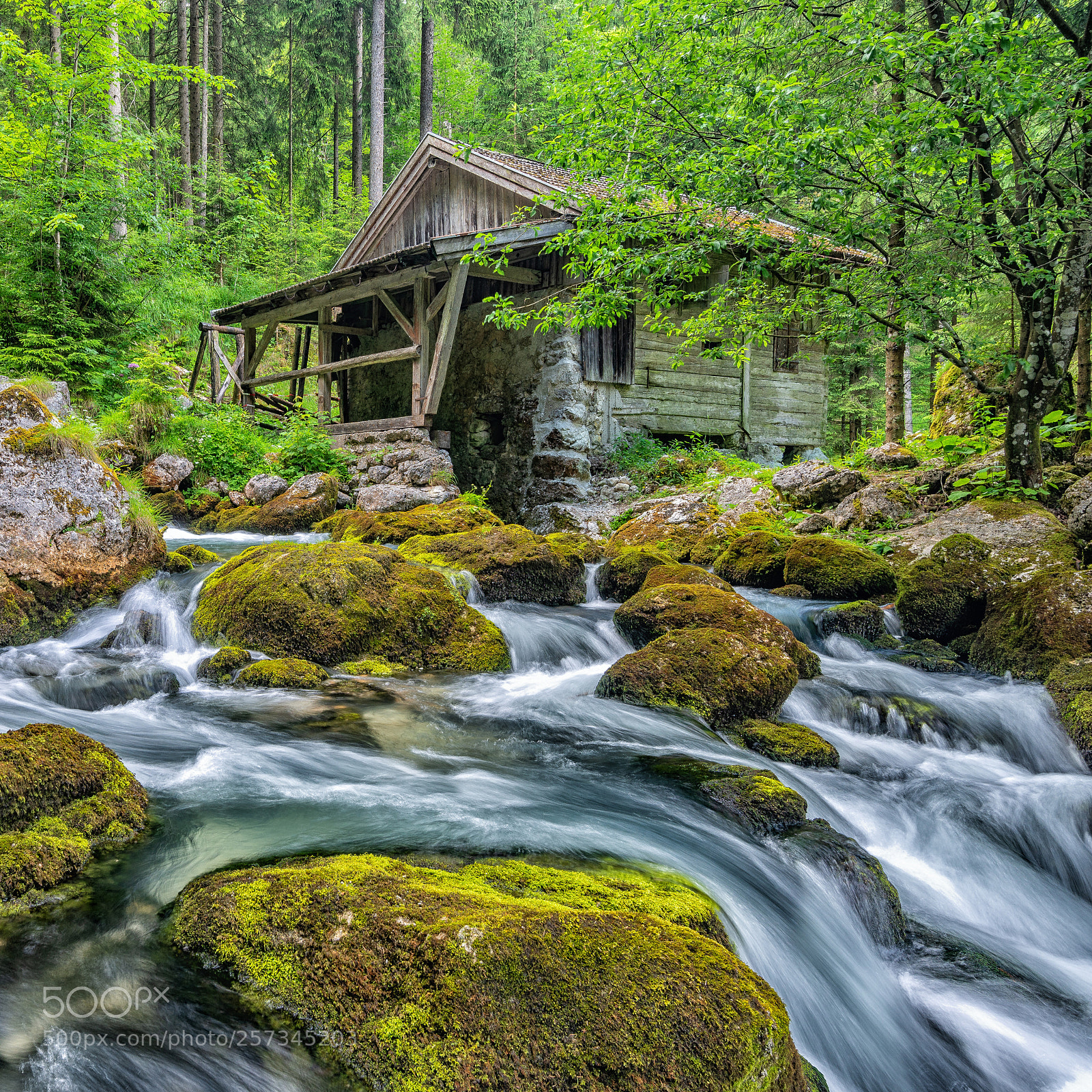 Nikon D610 sample photo. Old gollinger mill photography