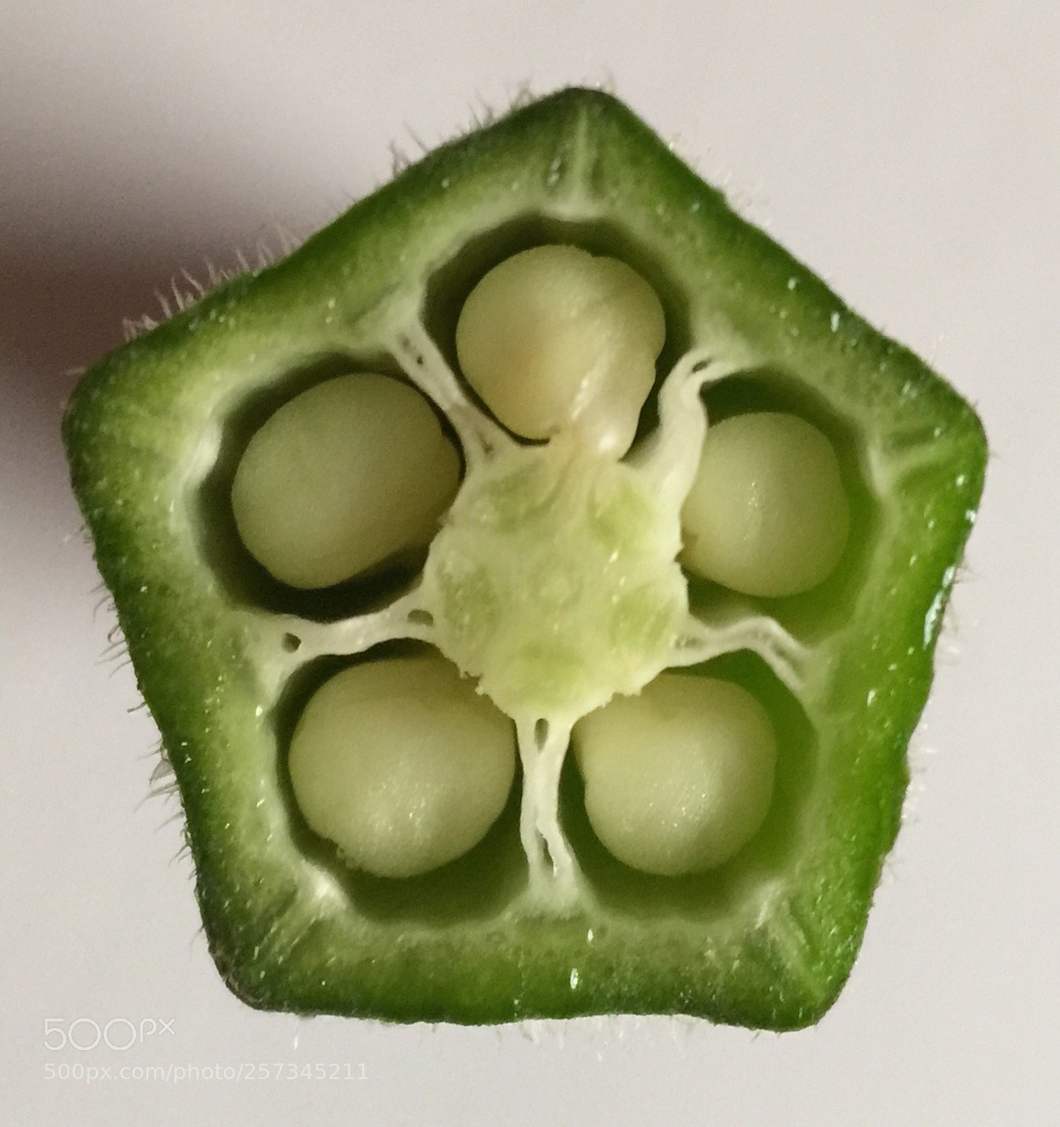 Apple iPhone 6 Plus sample photo. Okra on macro photography