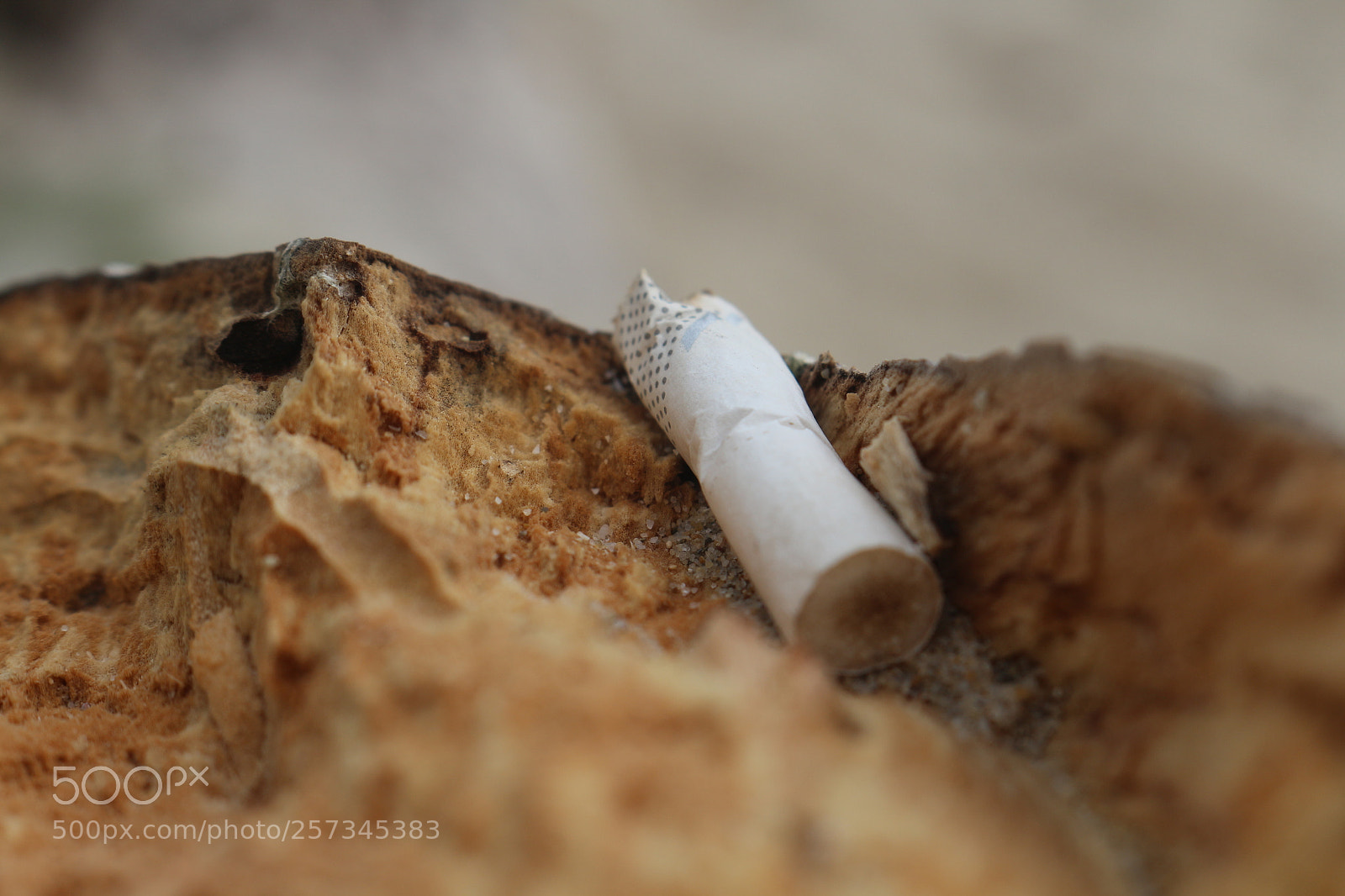 Canon EOS 700D (EOS Rebel T5i / EOS Kiss X7i) sample photo. Untitled photography