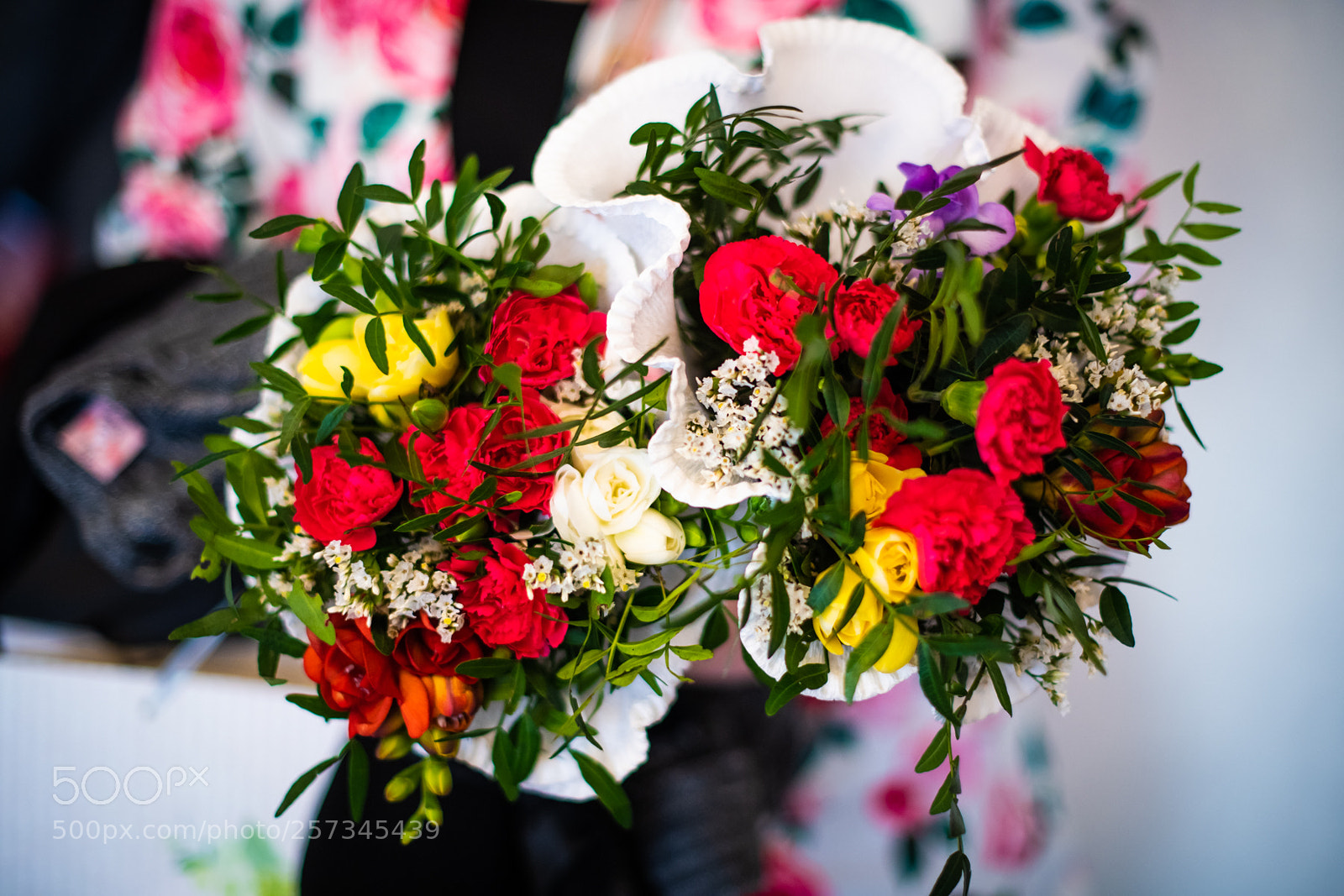 Nikon D850 sample photo. Dsc photography
