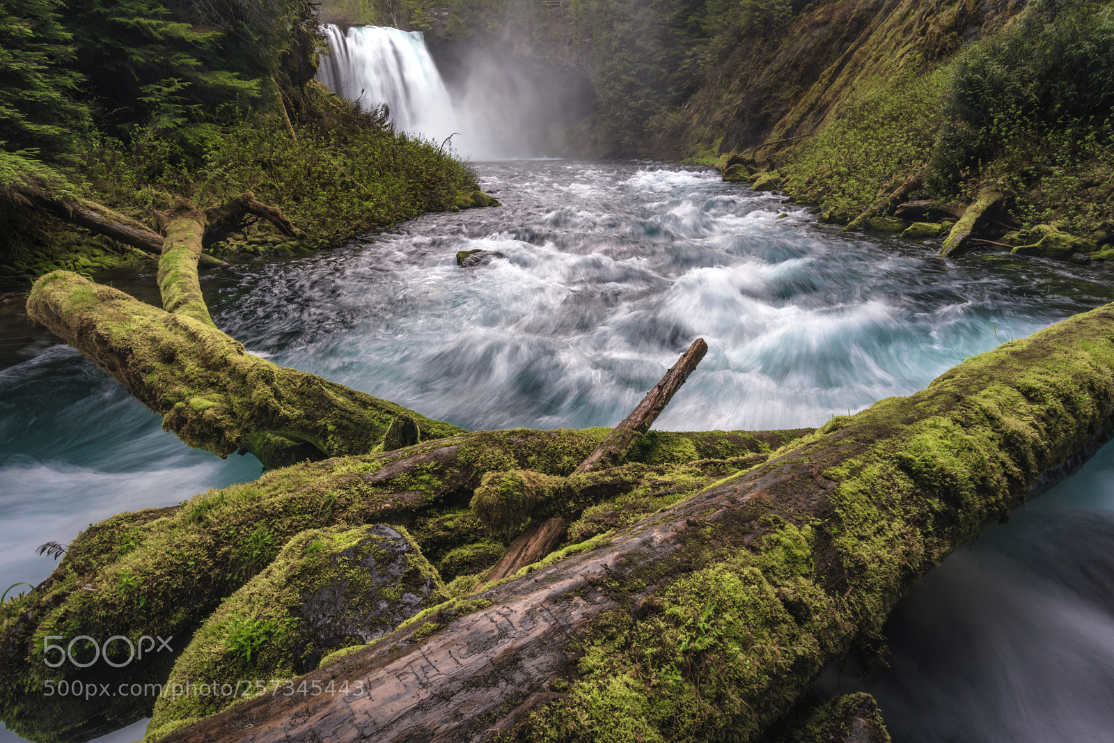 Sony a7R II sample photo. Koosah flows photography