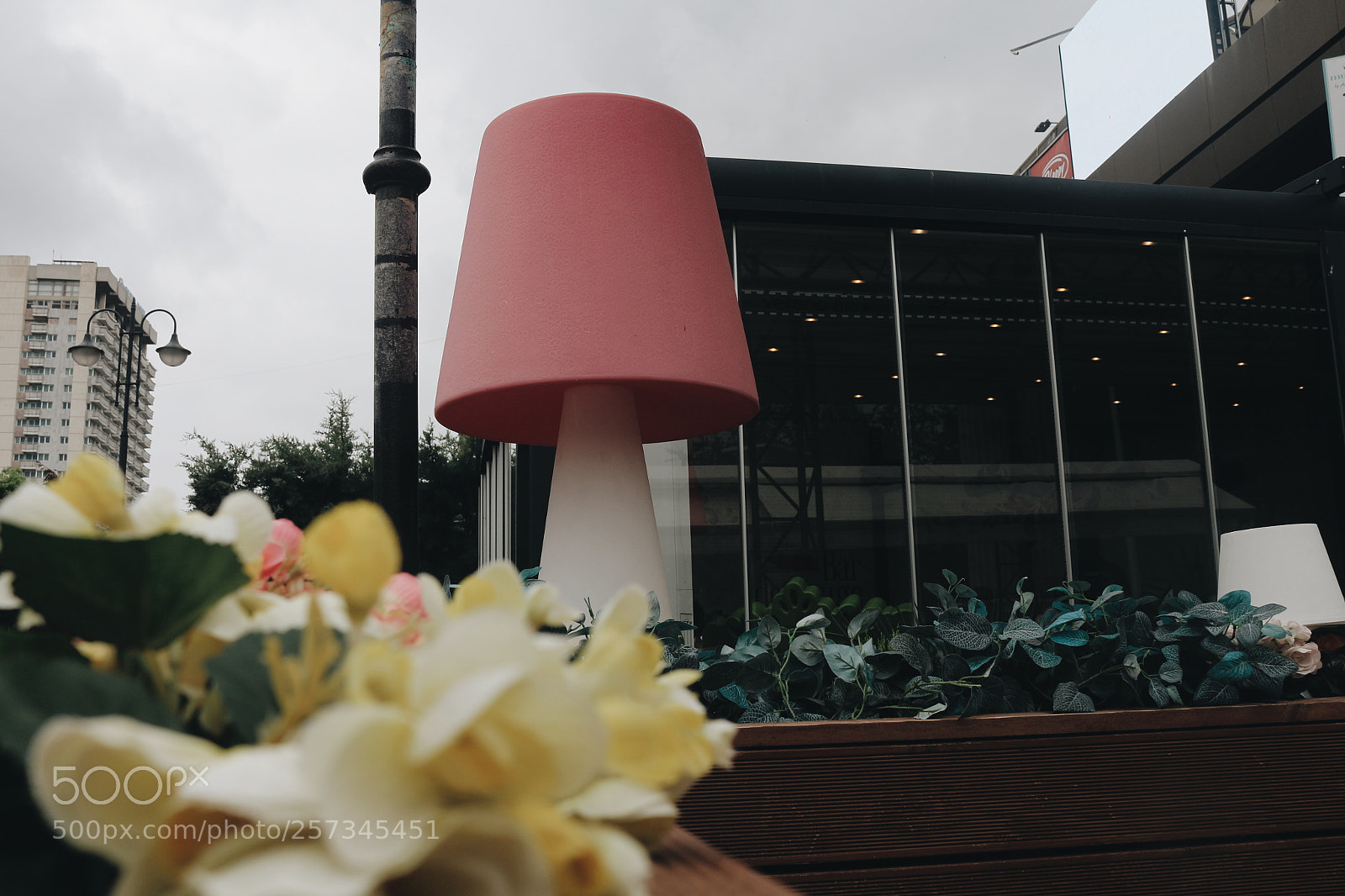 Canon EOS 700D (EOS Rebel T5i / EOS Kiss X7i) sample photo. Untitled photography