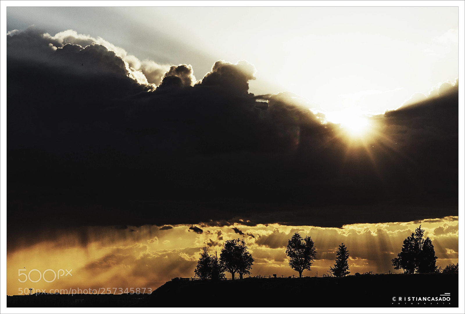 Canon EOS 6D sample photo. 300 photography