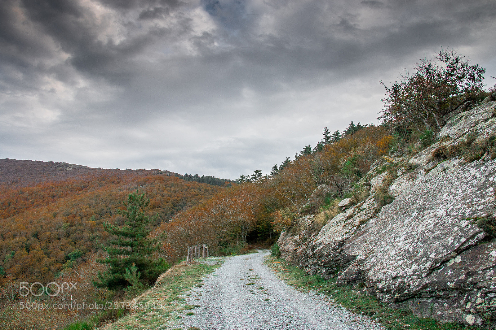 Canon EOS 70D sample photo. Path photography