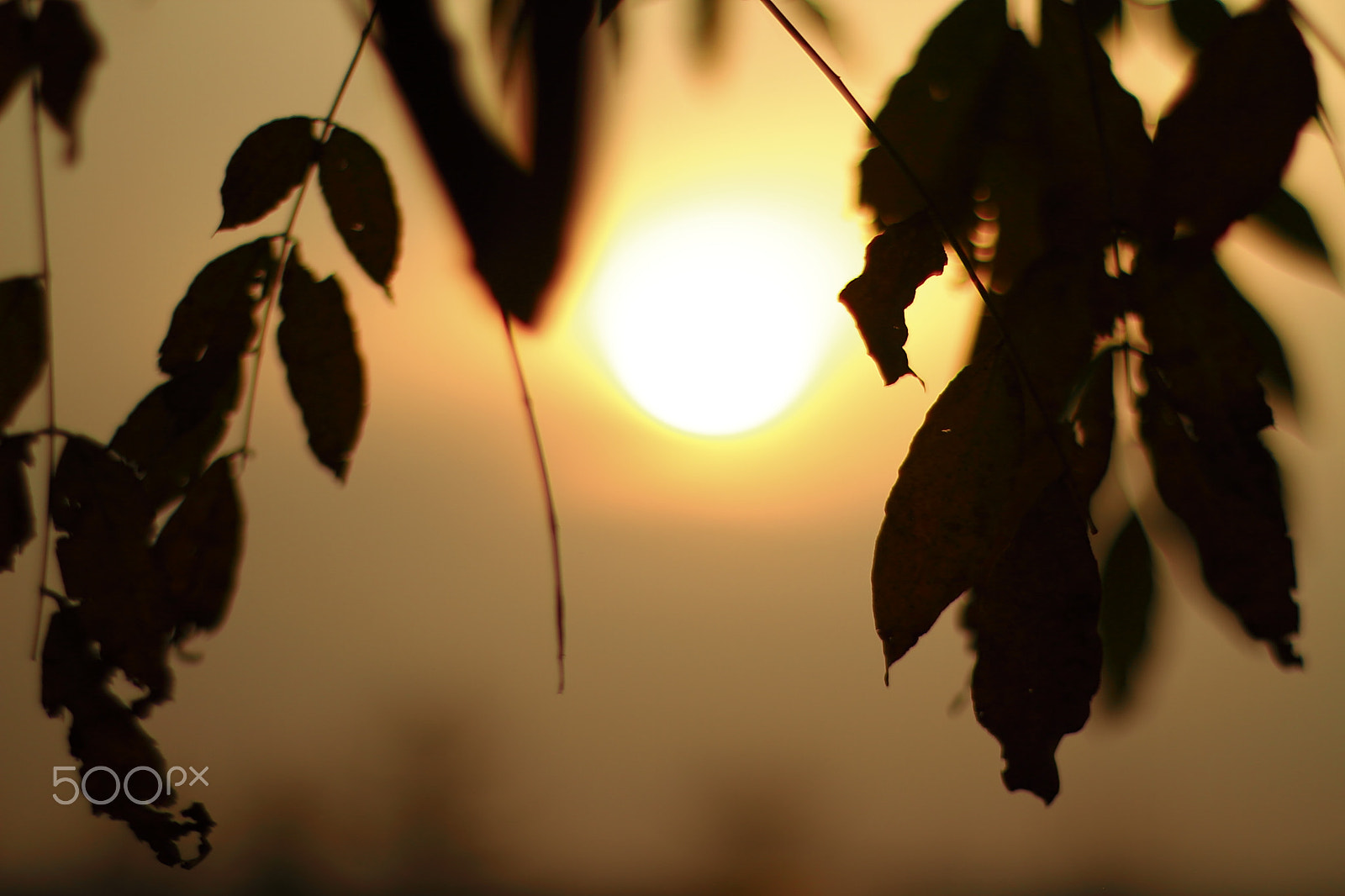 Canon EOS 7D + Canon EF 50mm F1.8 II sample photo. Sunset photography