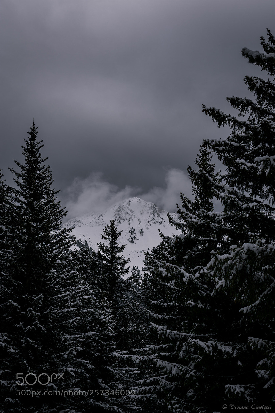 Nikon D3400 sample photo. Heights photography