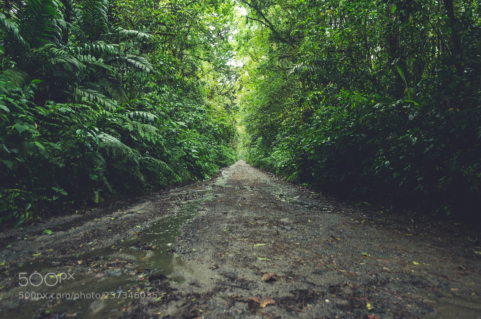 Nikon D7000 sample photo. Paths of life photography