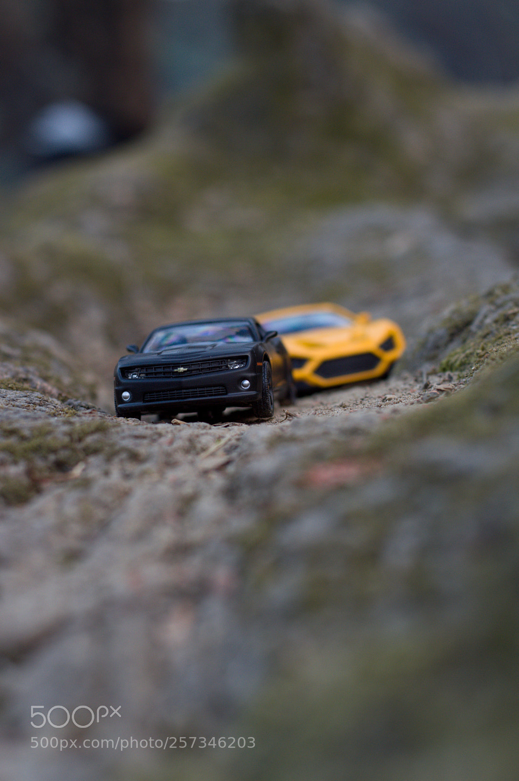 Nikon D3200 sample photo. Racing ground photography