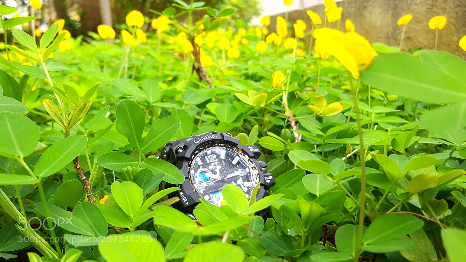 Samsung Galaxy S6 sample photo. Untitled photography