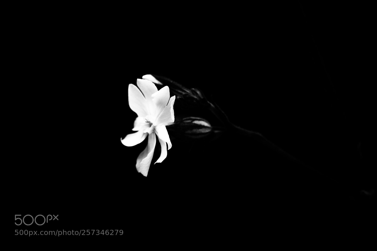 Nikon D3300 sample photo. The light come in photography