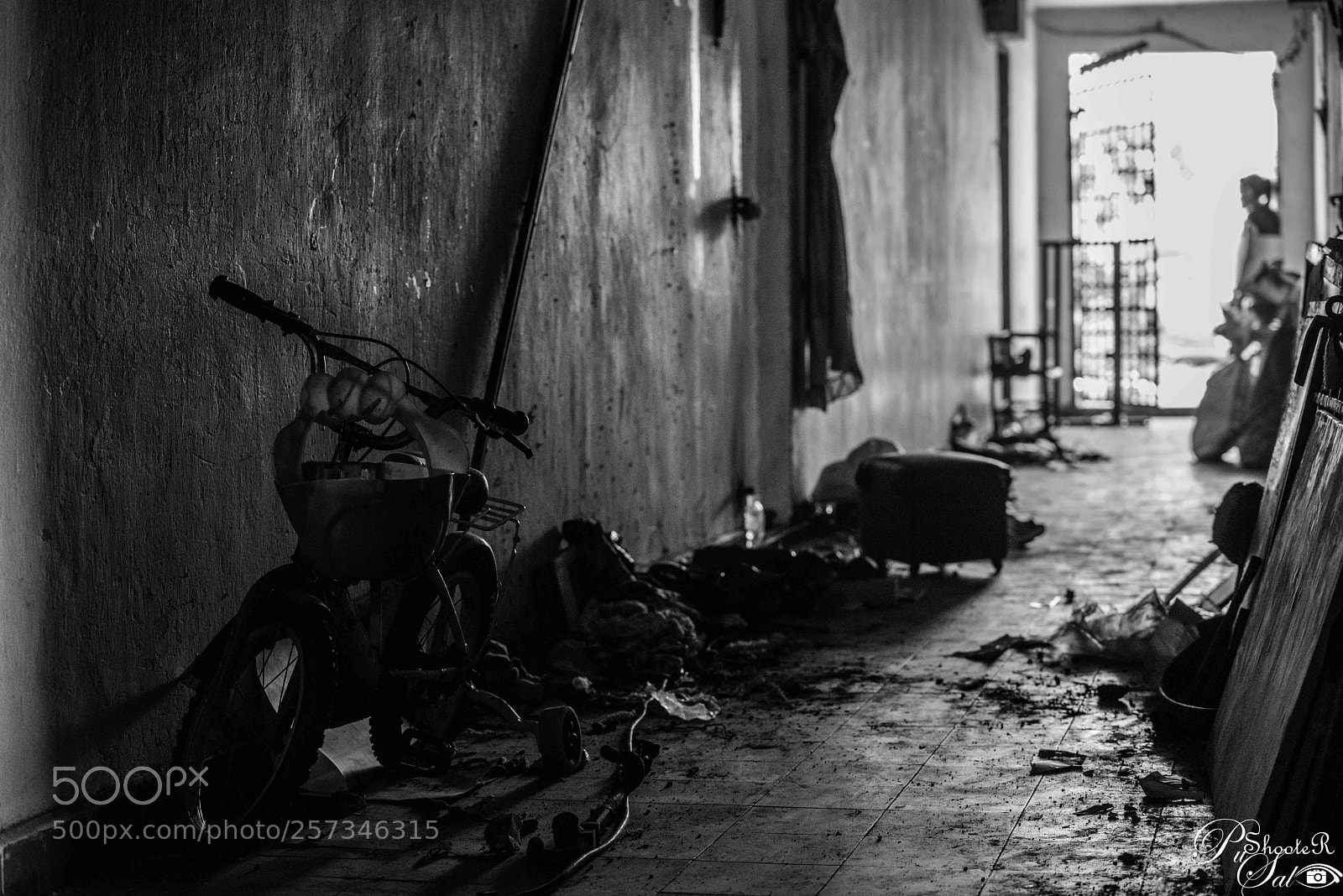 Nikon D750 sample photo. Black & white photography