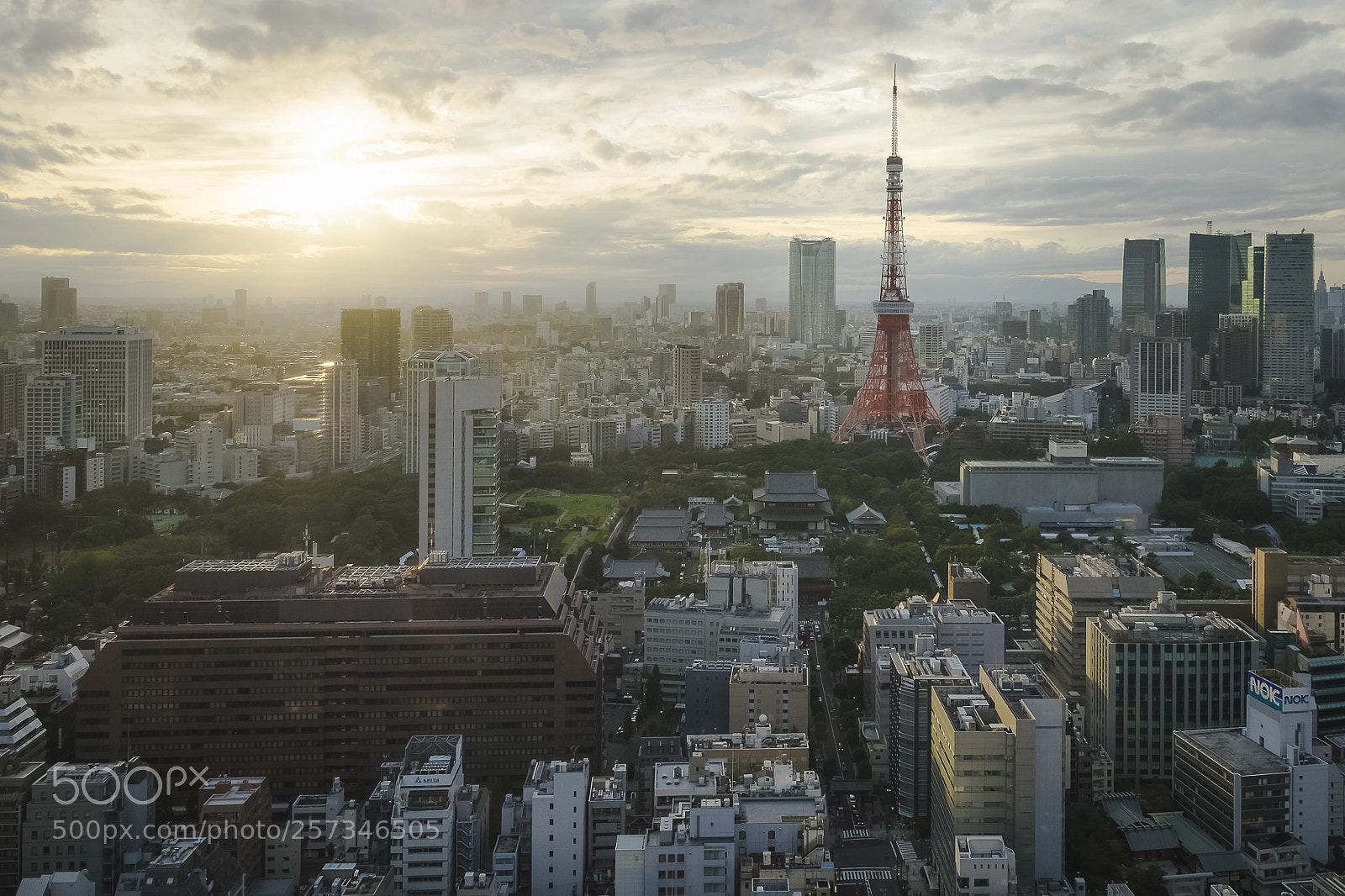 Fujifilm X-T1 sample photo. Tokyo tower photography