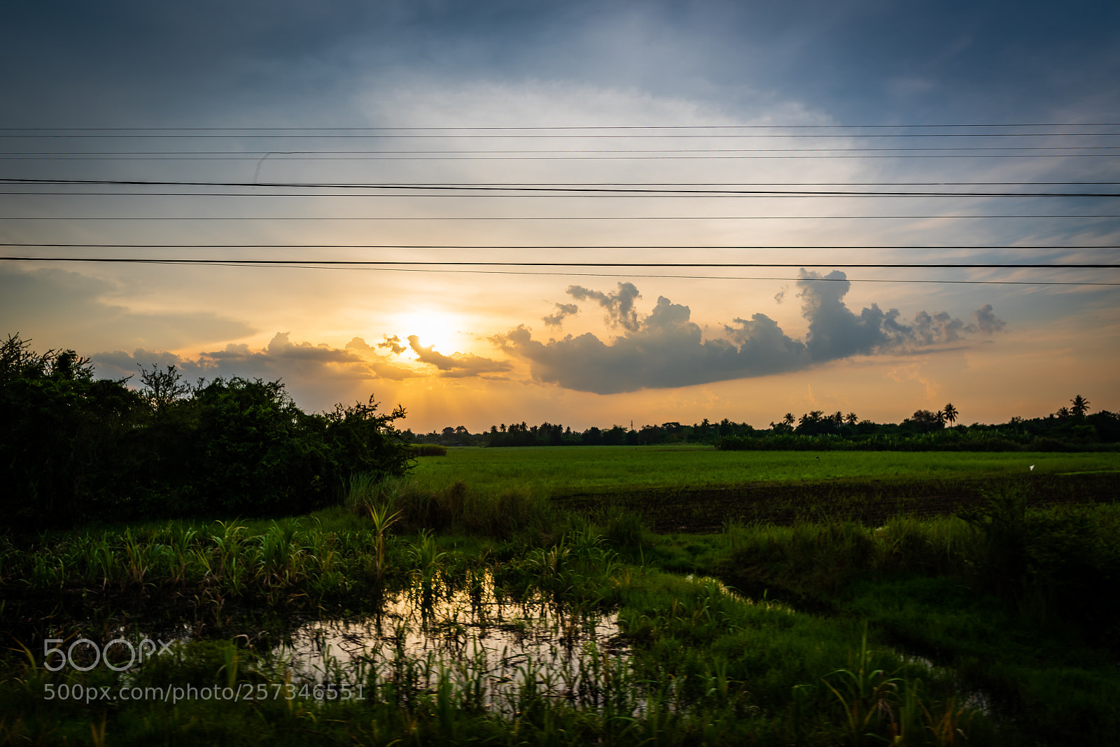 Nikon D810 sample photo. On a slow train photography