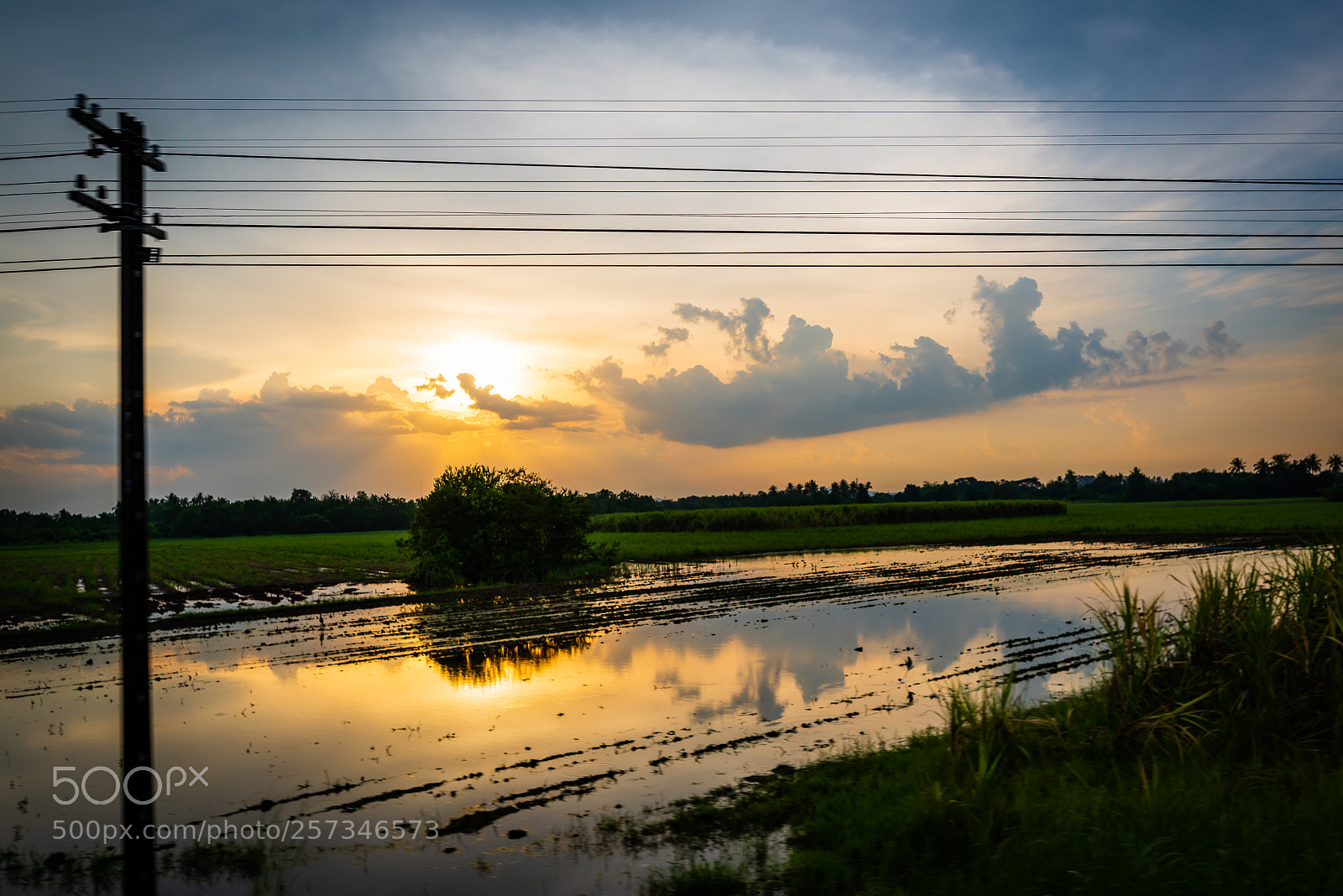 Nikon D810 sample photo. On a slow train photography