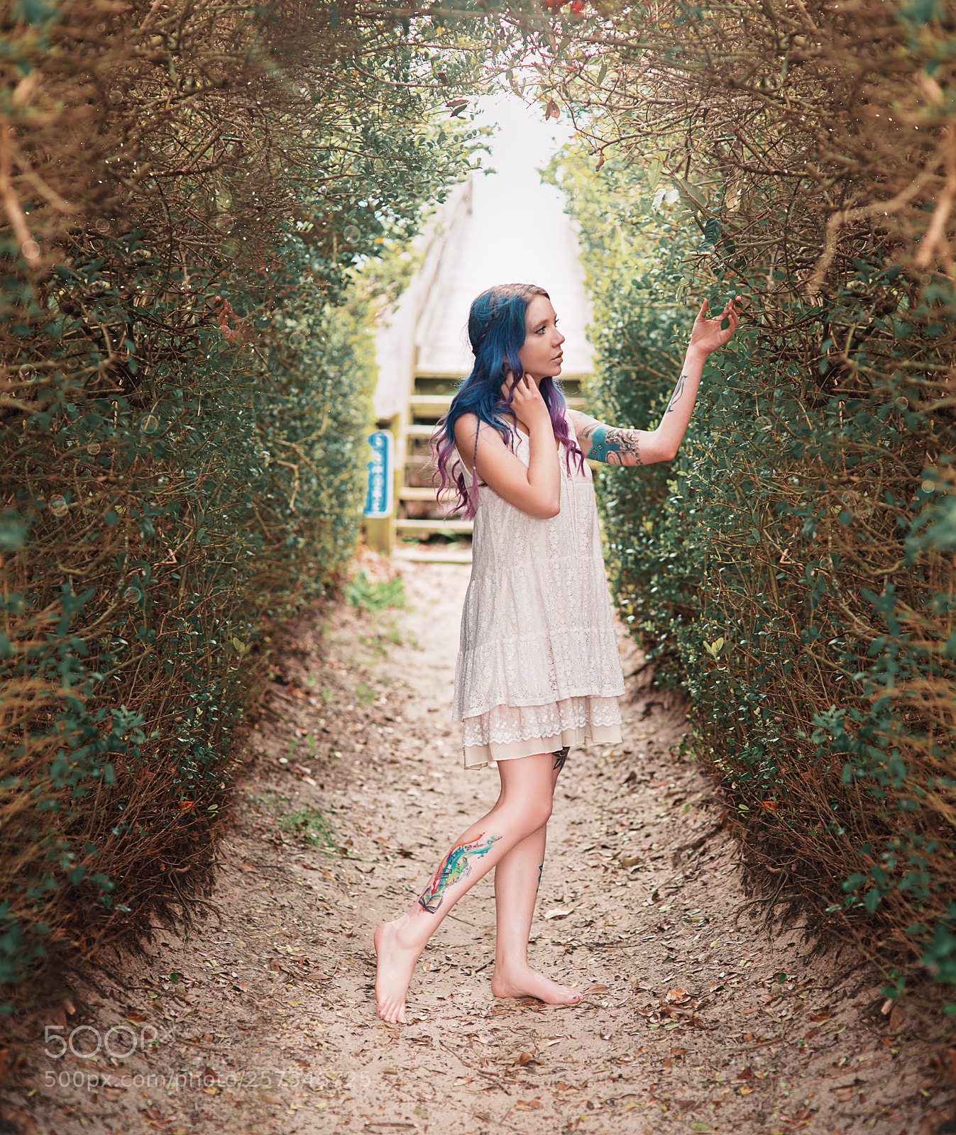 Nikon D800 sample photo. Tyla photography