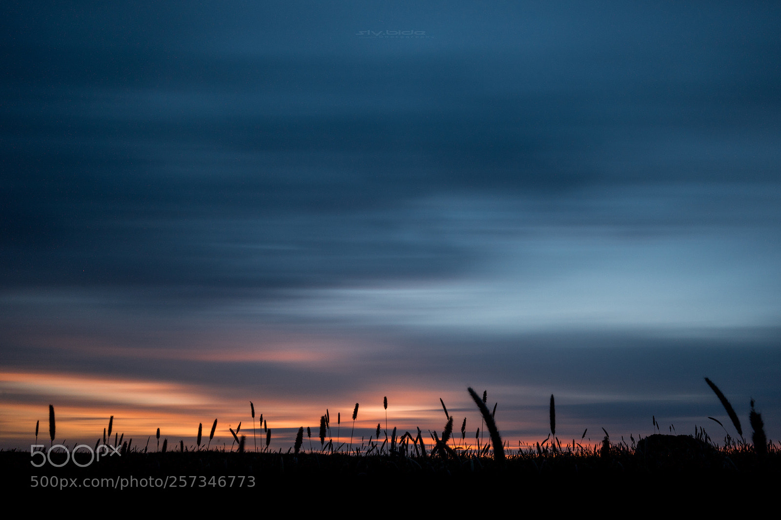 Nikon D7500 sample photo. Nik_1977-3.jpg photography