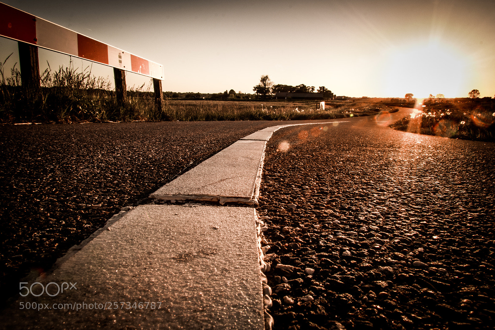 Canon EOS 60D sample photo. Road to the sun photography