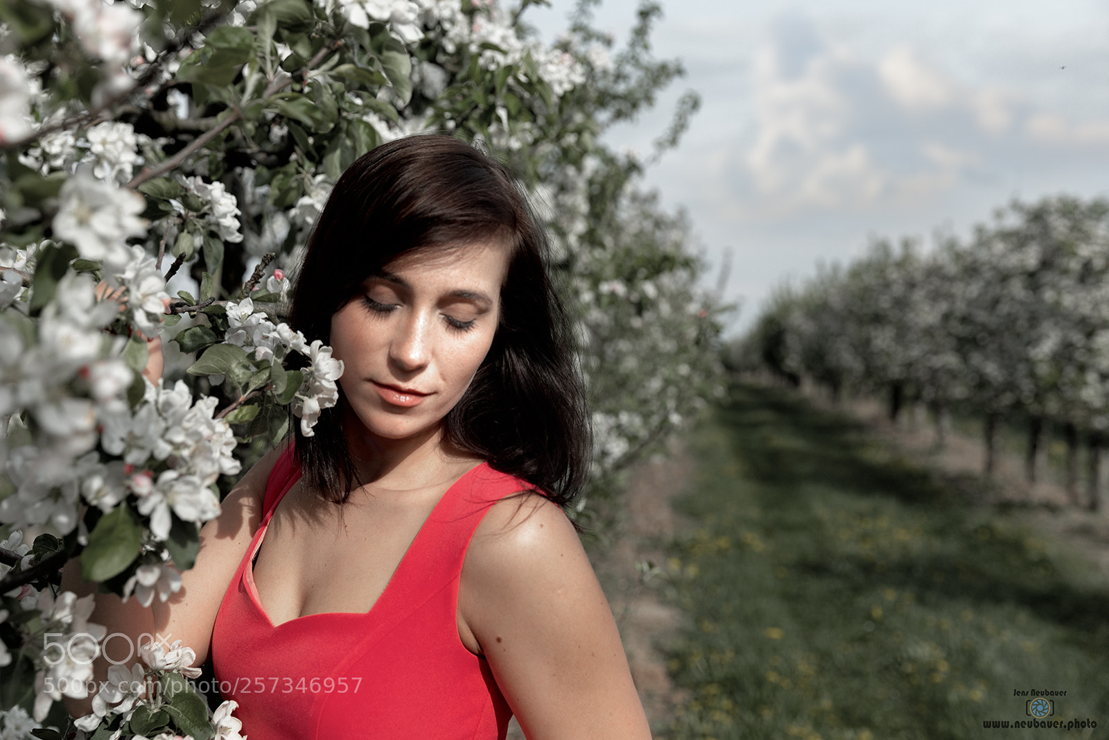 Canon EOS 5D Mark IV sample photo. Manu photography