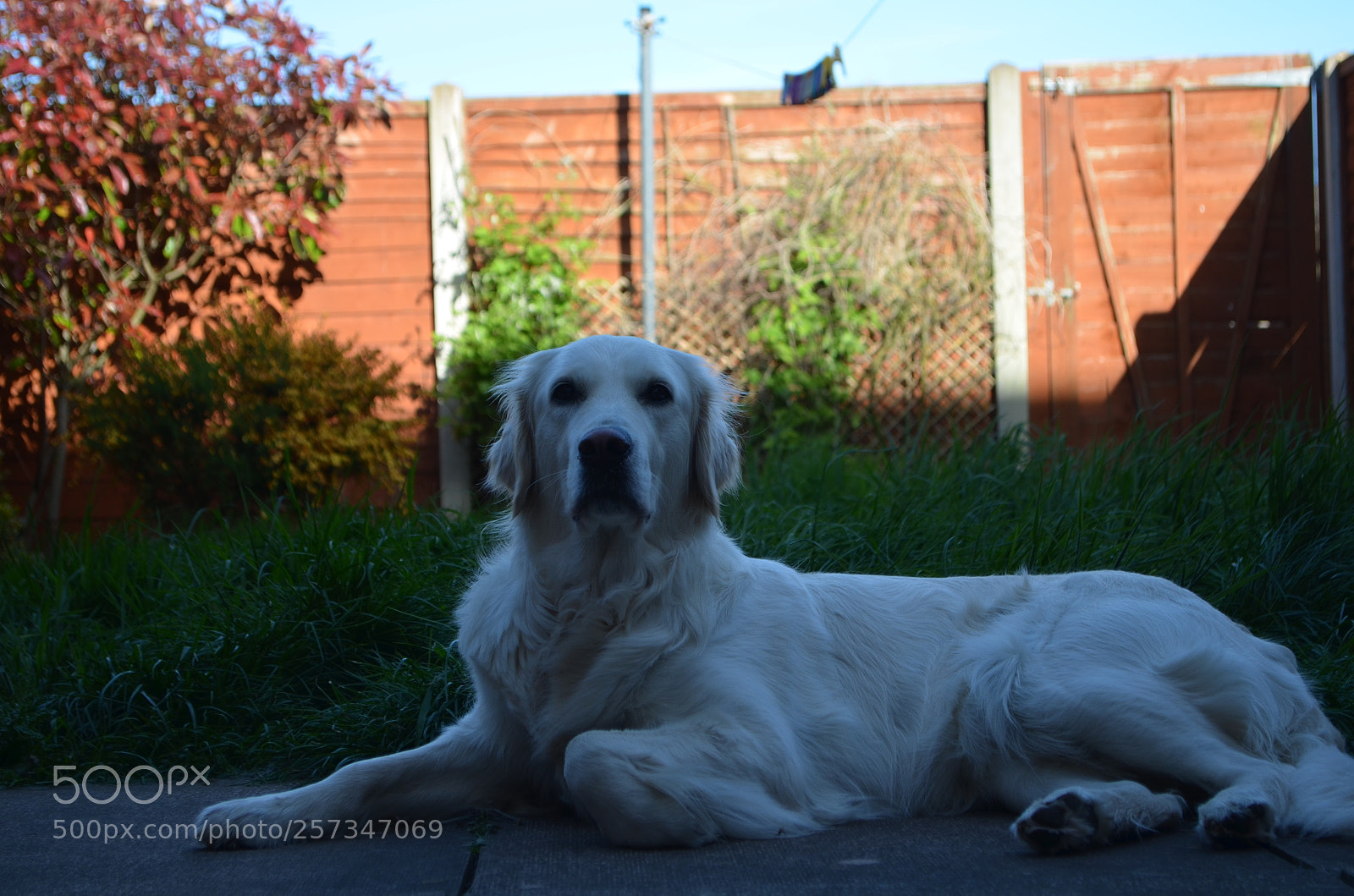 Nikon D5100 sample photo. Margo photography