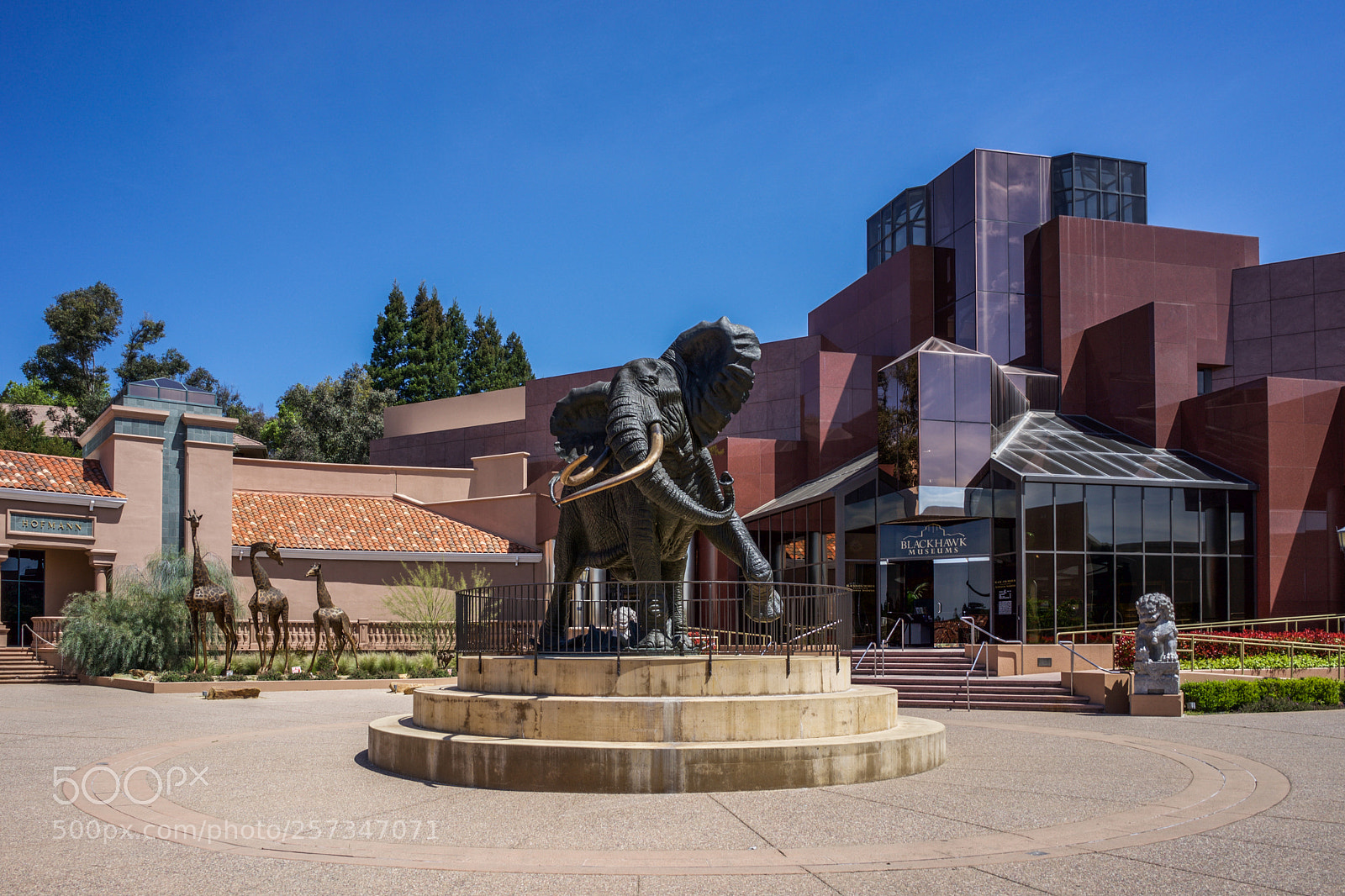 Sony a7 sample photo. Blackhawk museum danville, ca photography