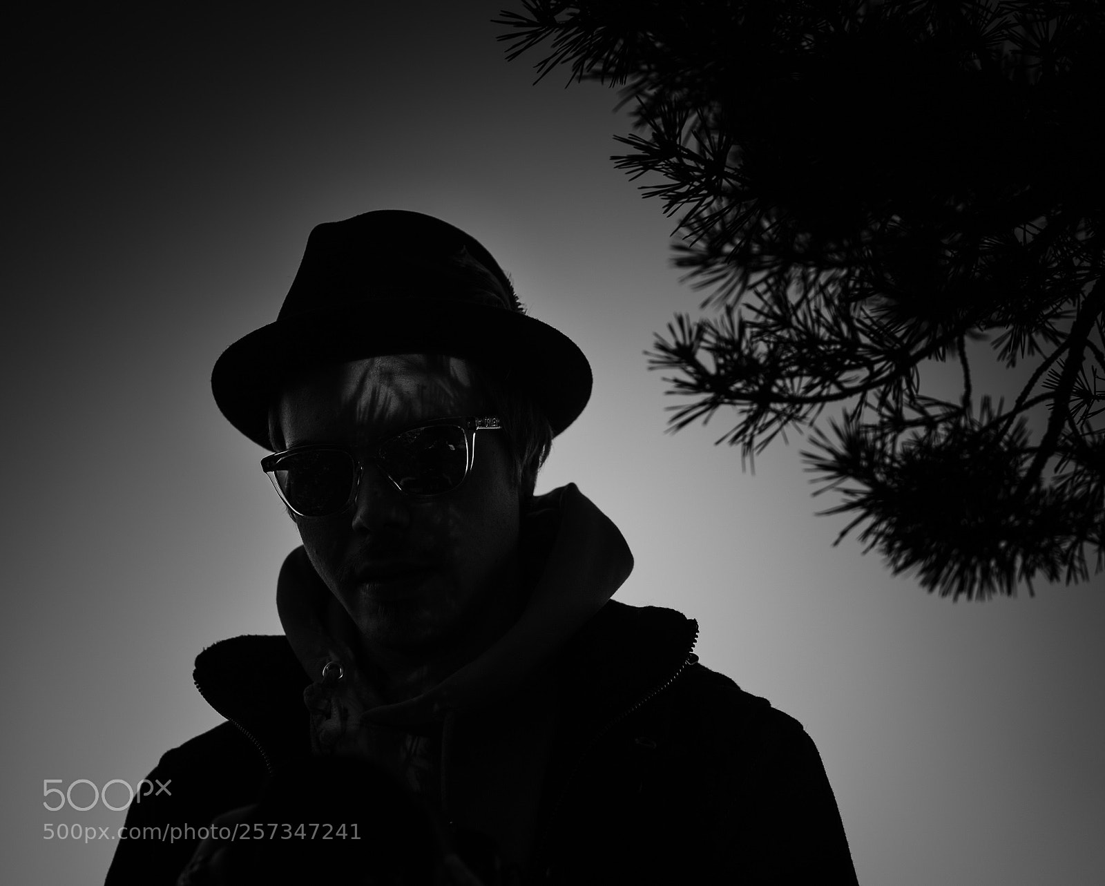 Sony a7 sample photo. Feeling black. photography
