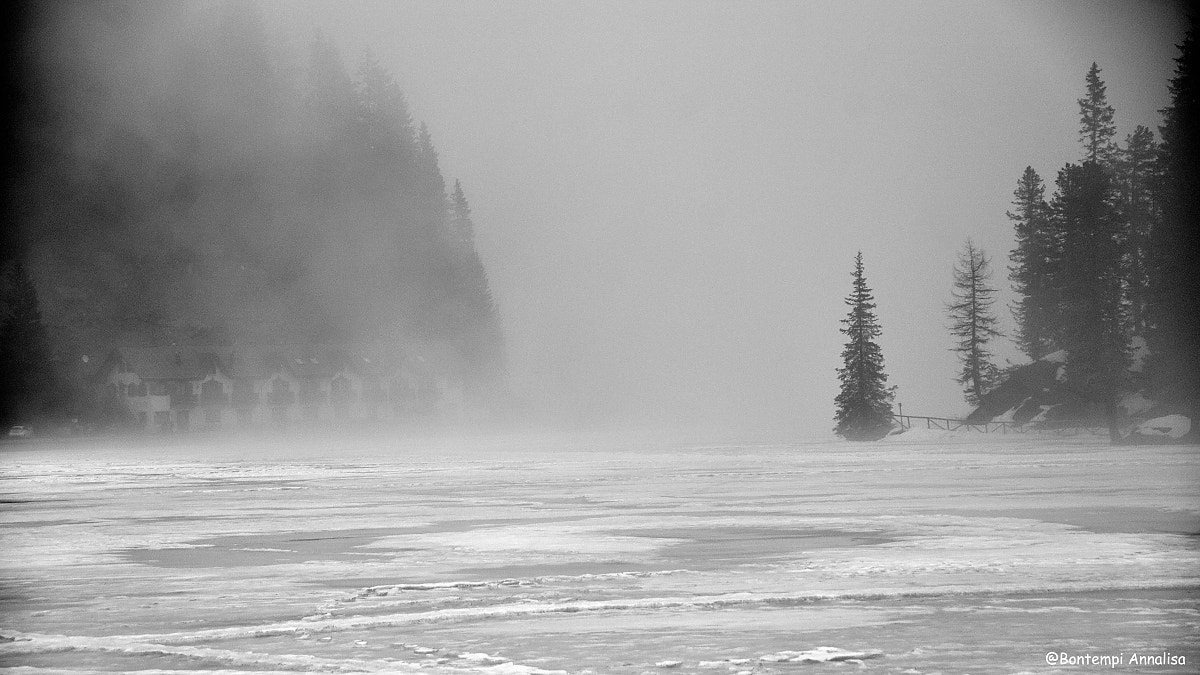 Nikon D90 sample photo. Foggy day photography
