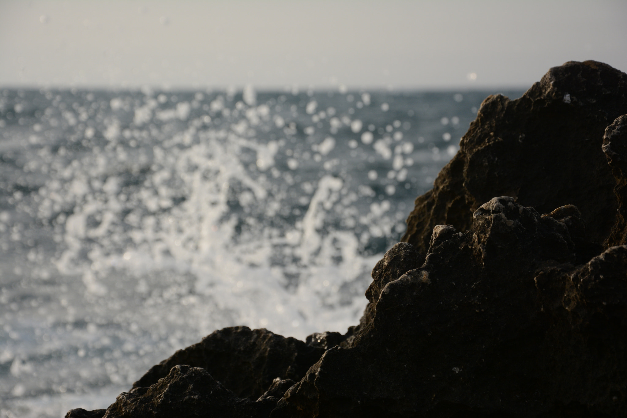 Nikon D7100 sample photo
