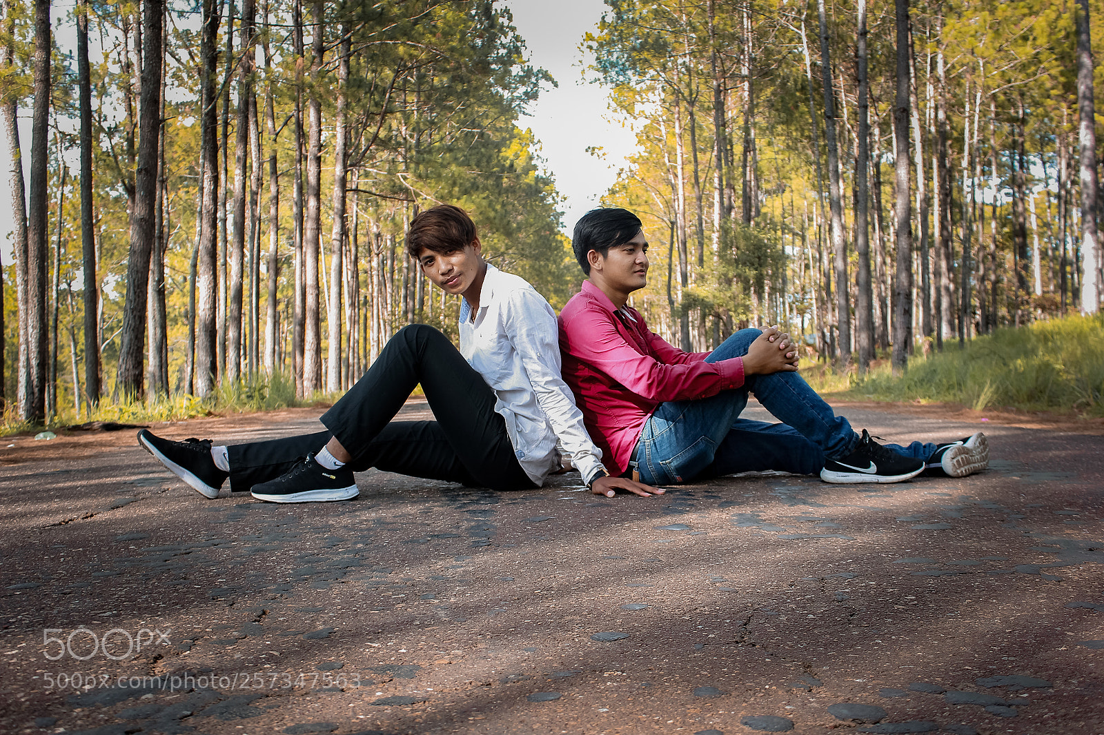 Canon EOS 60D sample photo. Phorn photography