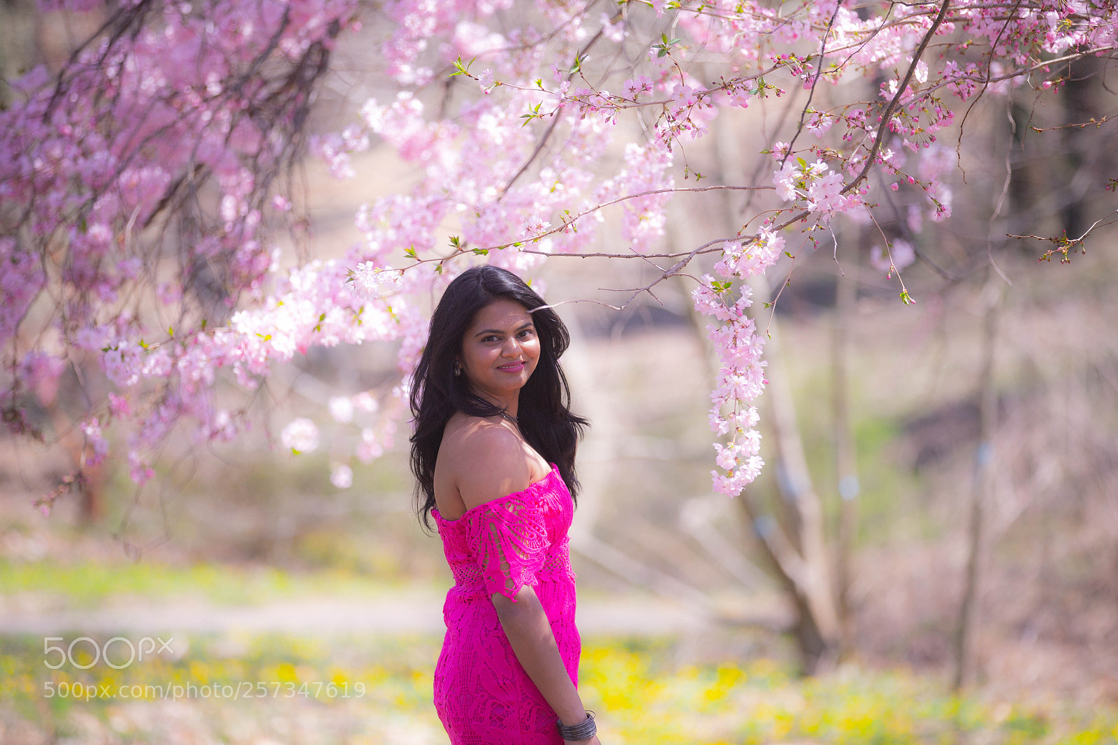 Canon EOS-1D X sample photo. Spring photography