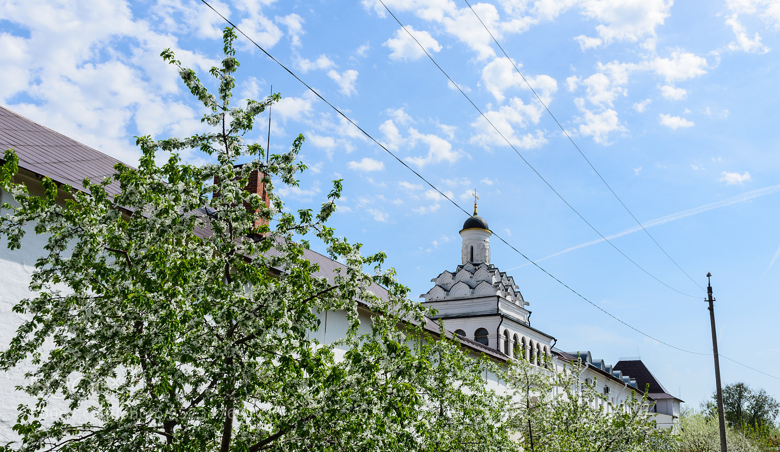 Nikon D5100 sample photo. 376 photography