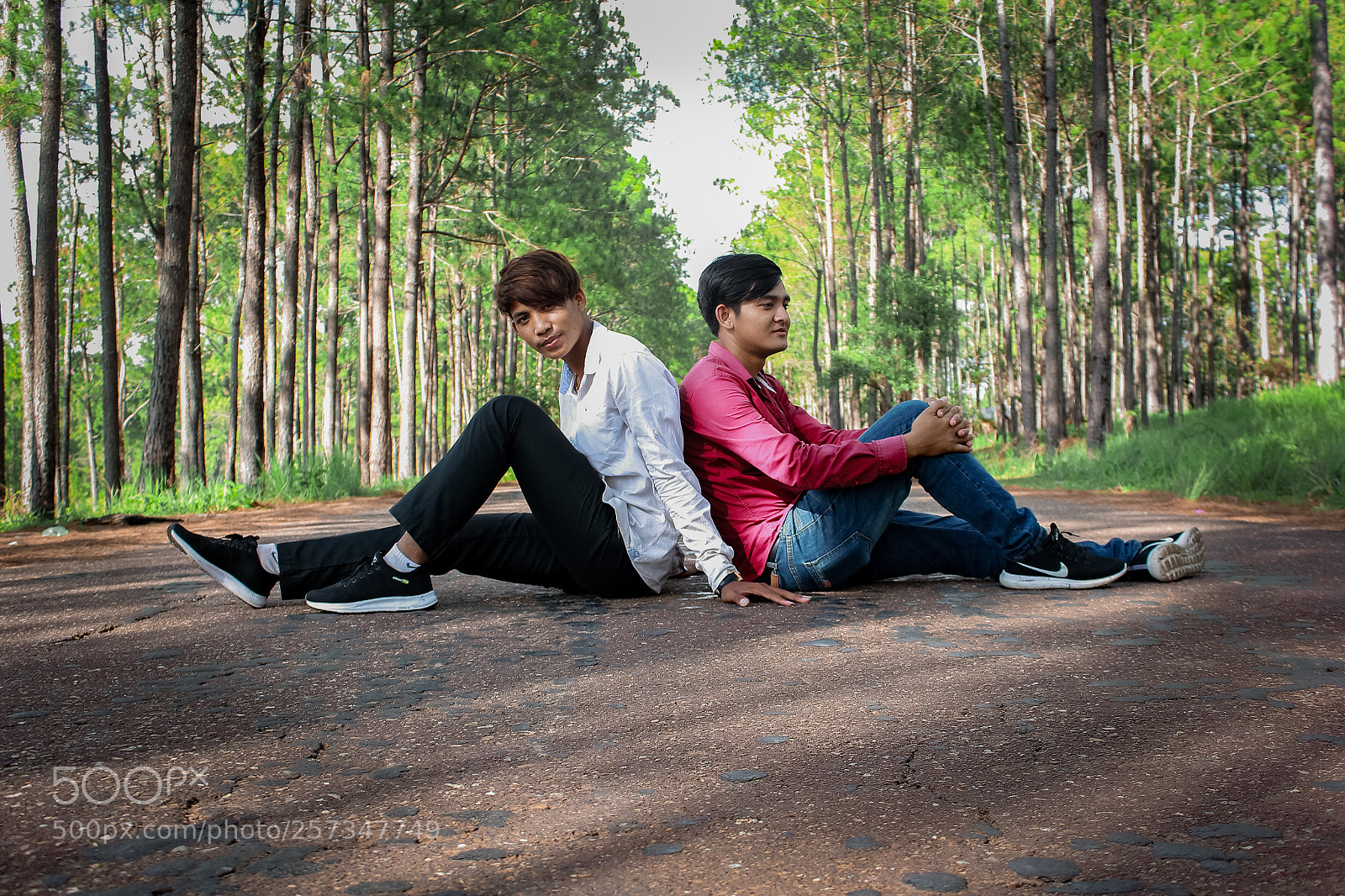 Canon EOS 60D sample photo. Phorn photography