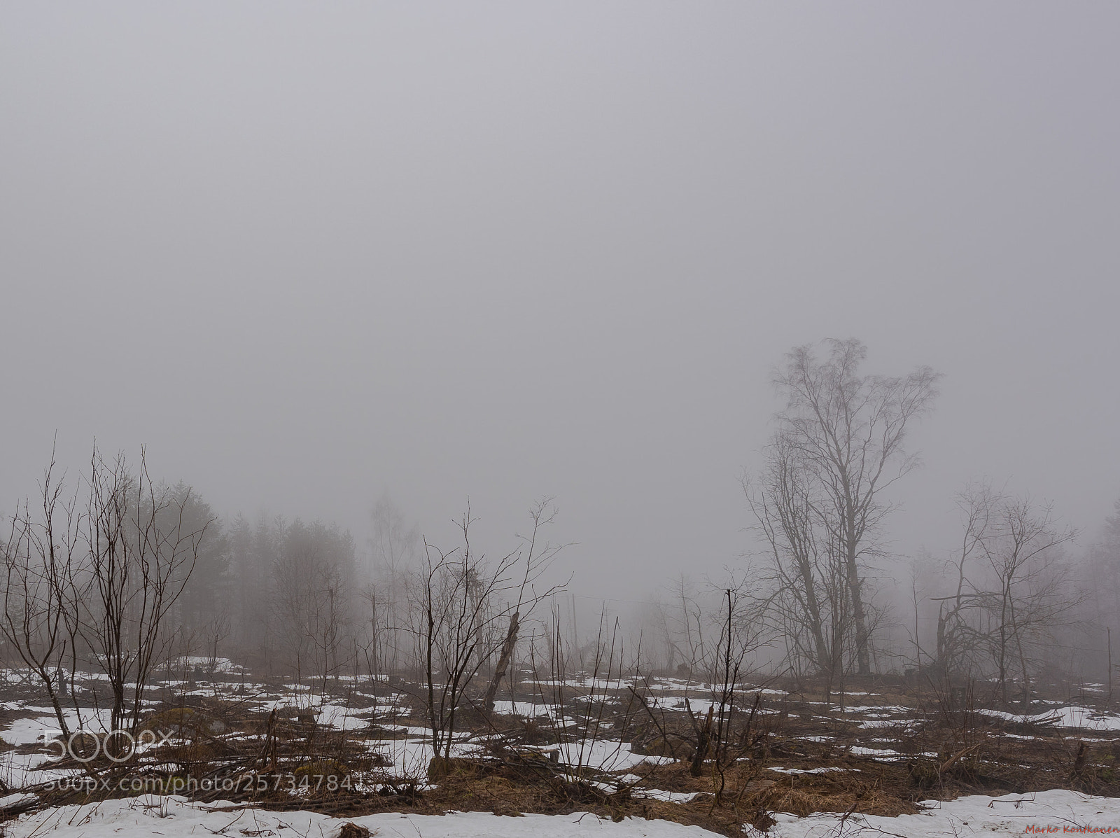 Nikon D810 sample photo. Misty photography