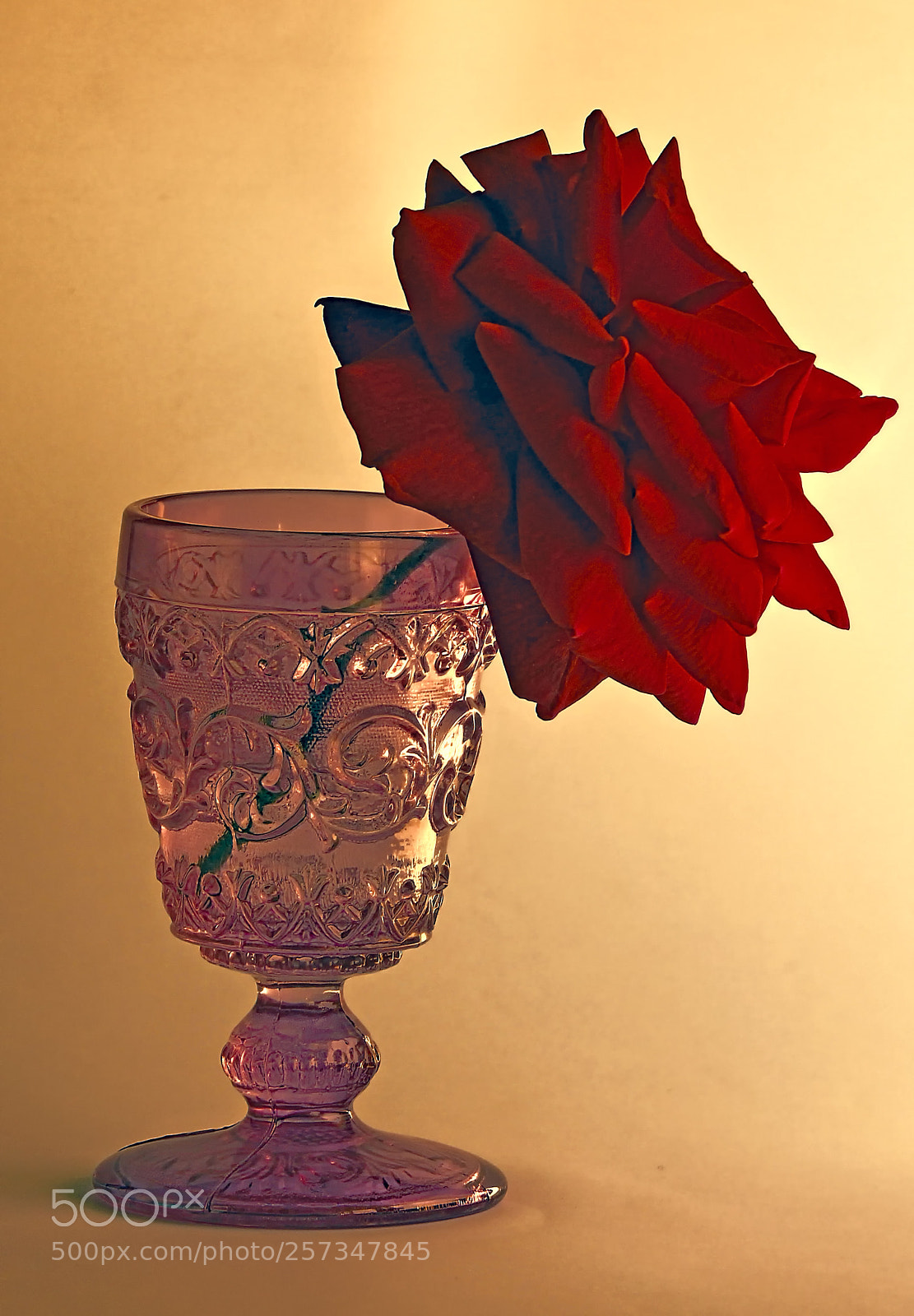 Canon EOS 700D (EOS Rebel T5i / EOS Kiss X7i) sample photo. The glass and the photography